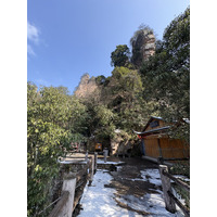 Picture China Zhangjiajie Tianzi Mountrain 2026-01 247 - Rentals Tianzi Mountrain