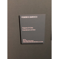 Picture Italy Urbino 2024-09 98 - Savings Urbino