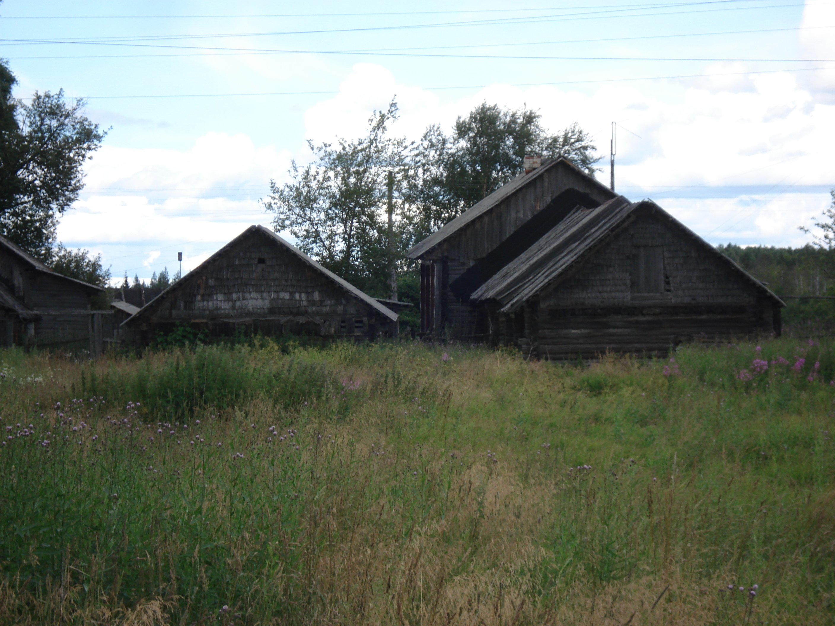 รูปถ่าย รัสเซีย(Russia) จากยาโรสลาฟล์ไปเซนต์ปีเตอร์สเบิร์ก(From Yaroslavl to St Petersburg) 2006-07 64