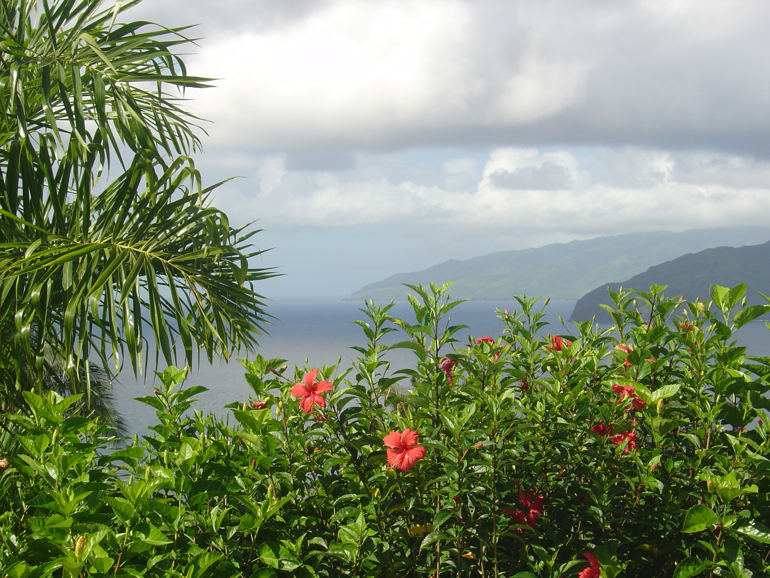 รูปถ่าย เฟรนช์โพลี่นีเซีย(Polynesia) หมู่เกาะมาร์เคซัส(Marquises) 2006-04 51