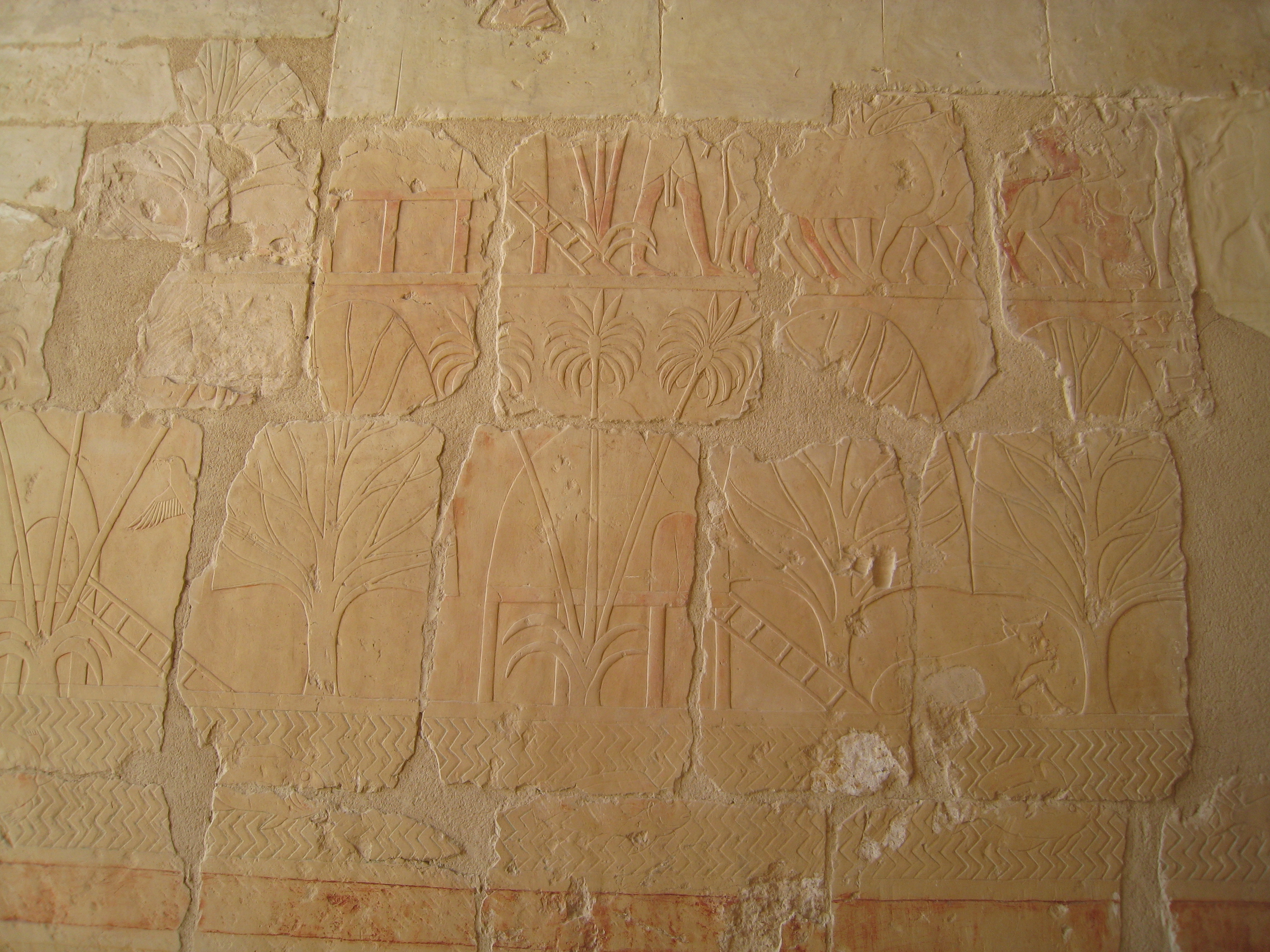 รูปถ่าย อียิปต์(Egypt) ลูซอร์(Luxor) 2007-04 2