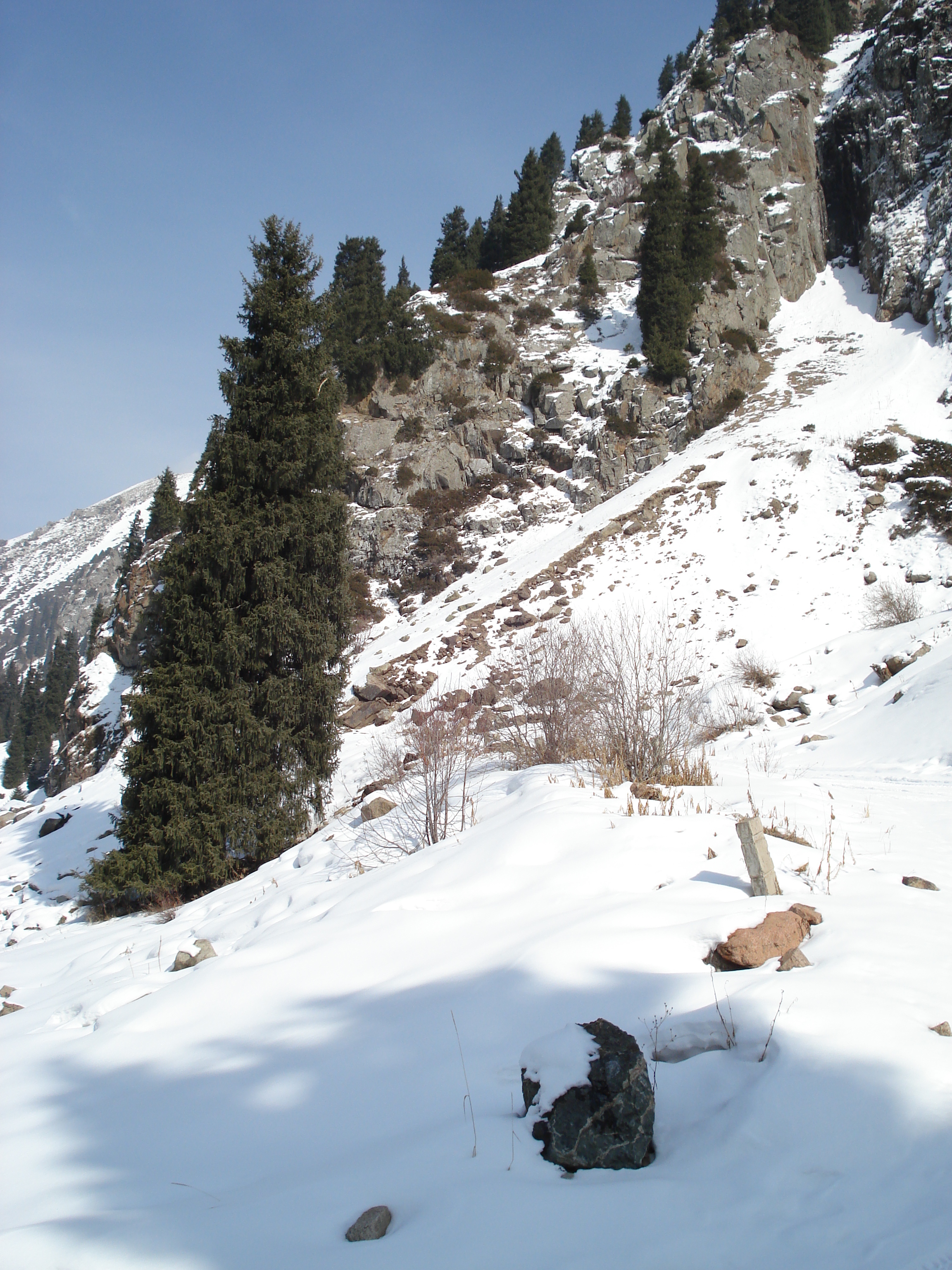 รูปถ่าย คาซัคสถาน(Kazakhstan) ซิมบูแลค(Shymbulak) 2007-03 64