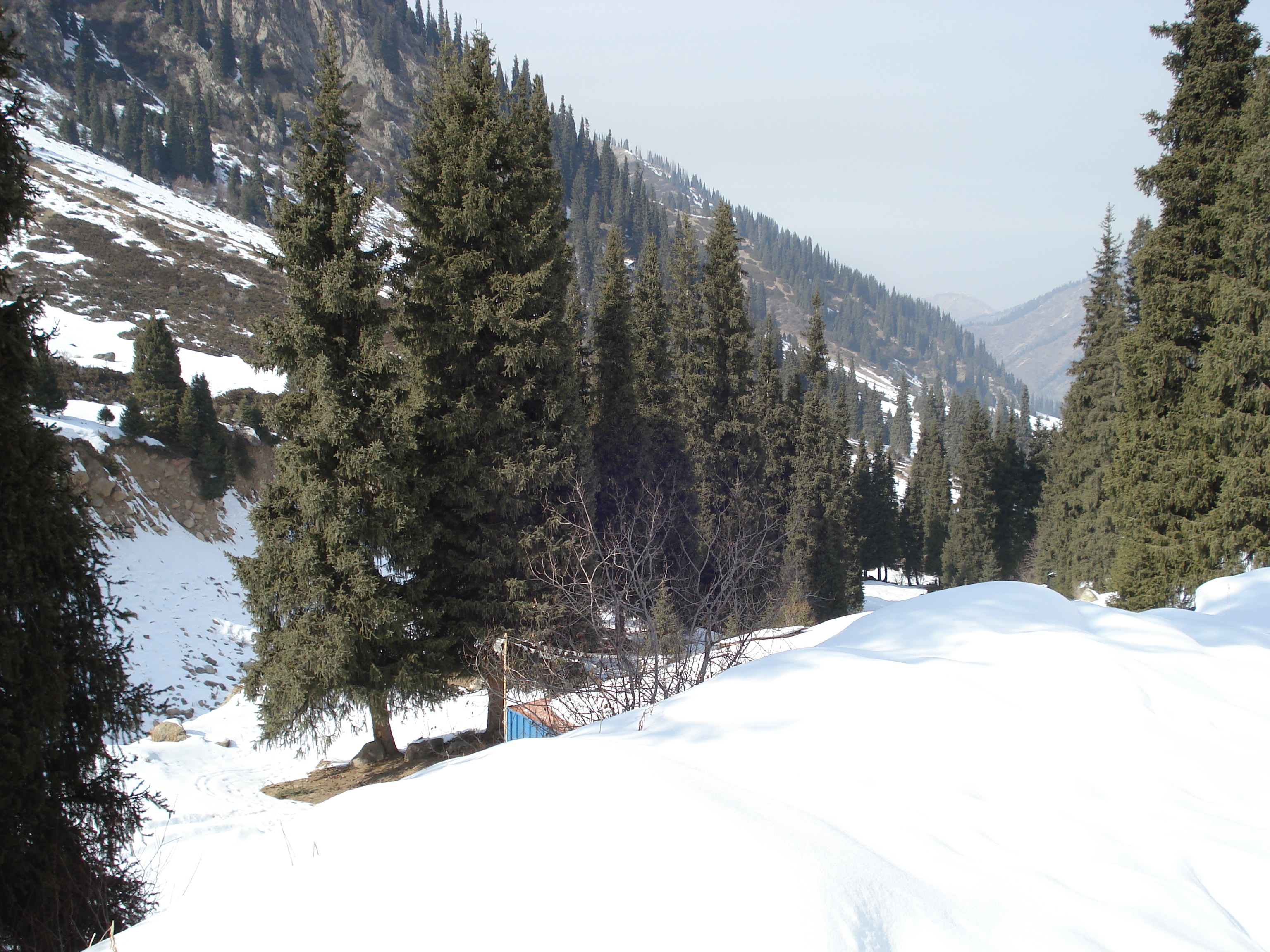 รูปถ่าย คาซัคสถาน(Kazakhstan) ซิมบูแลค(Shymbulak) 2007-03 67