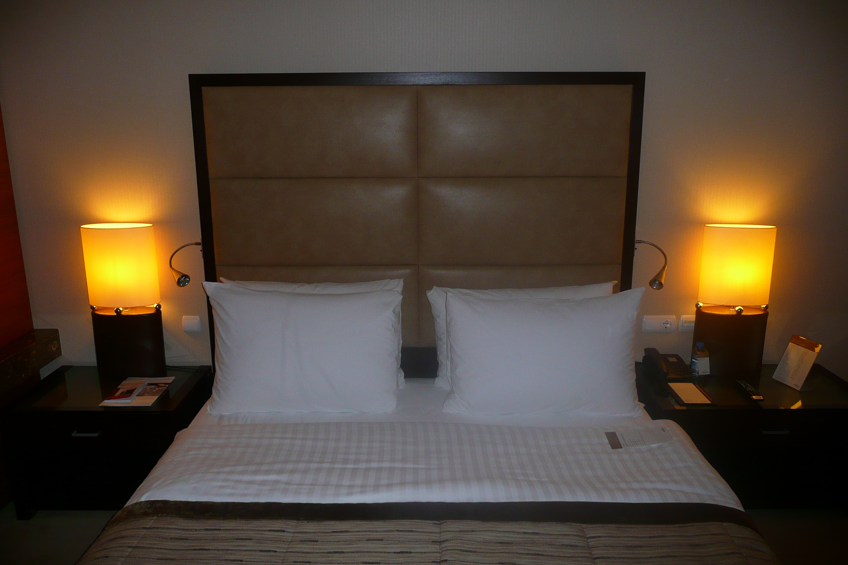 รูปถ่าย ตุรกี(Turkey) อิสตันบูล(Istanbul) โรงแรมเมอเวนพิค อิสตันบูล(Movenpick Istanbul Hotel) 2009-04 37