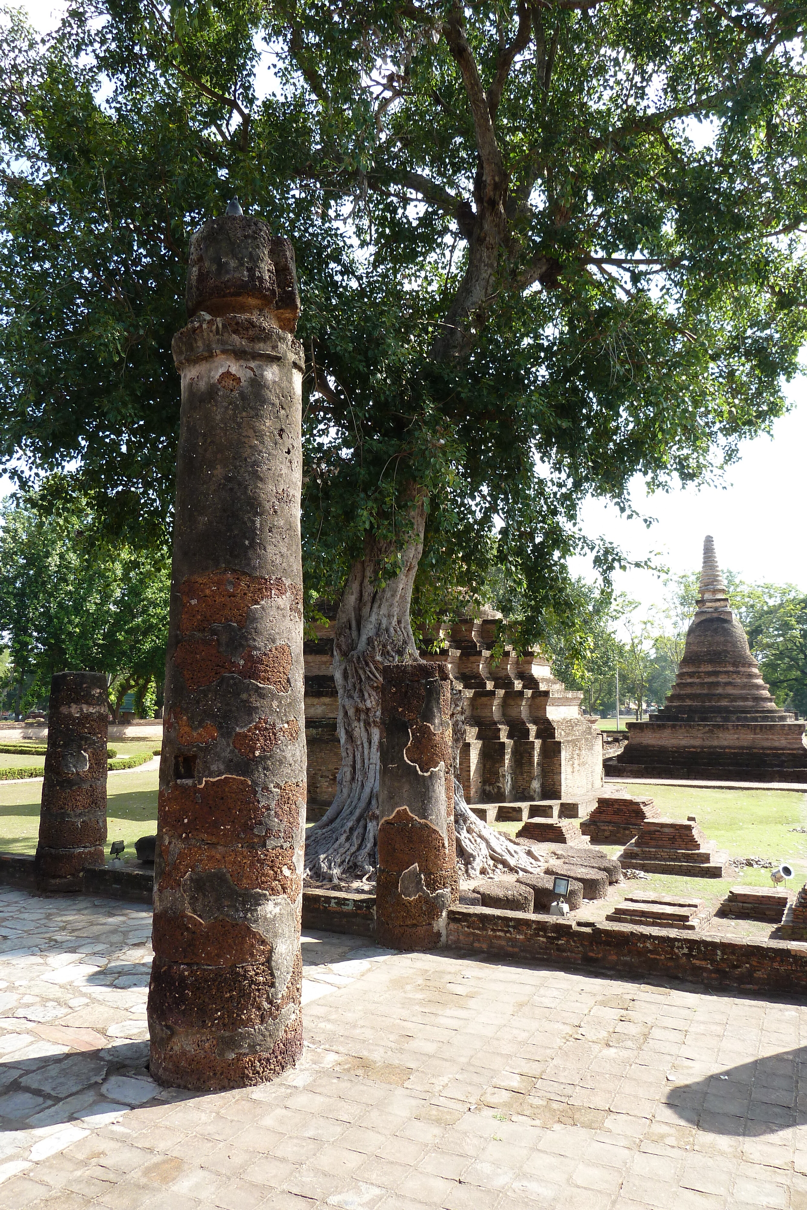 รูปถ่าย ไทย(Thailand) สุโขทัย(Sukhothai) 2010-12 36