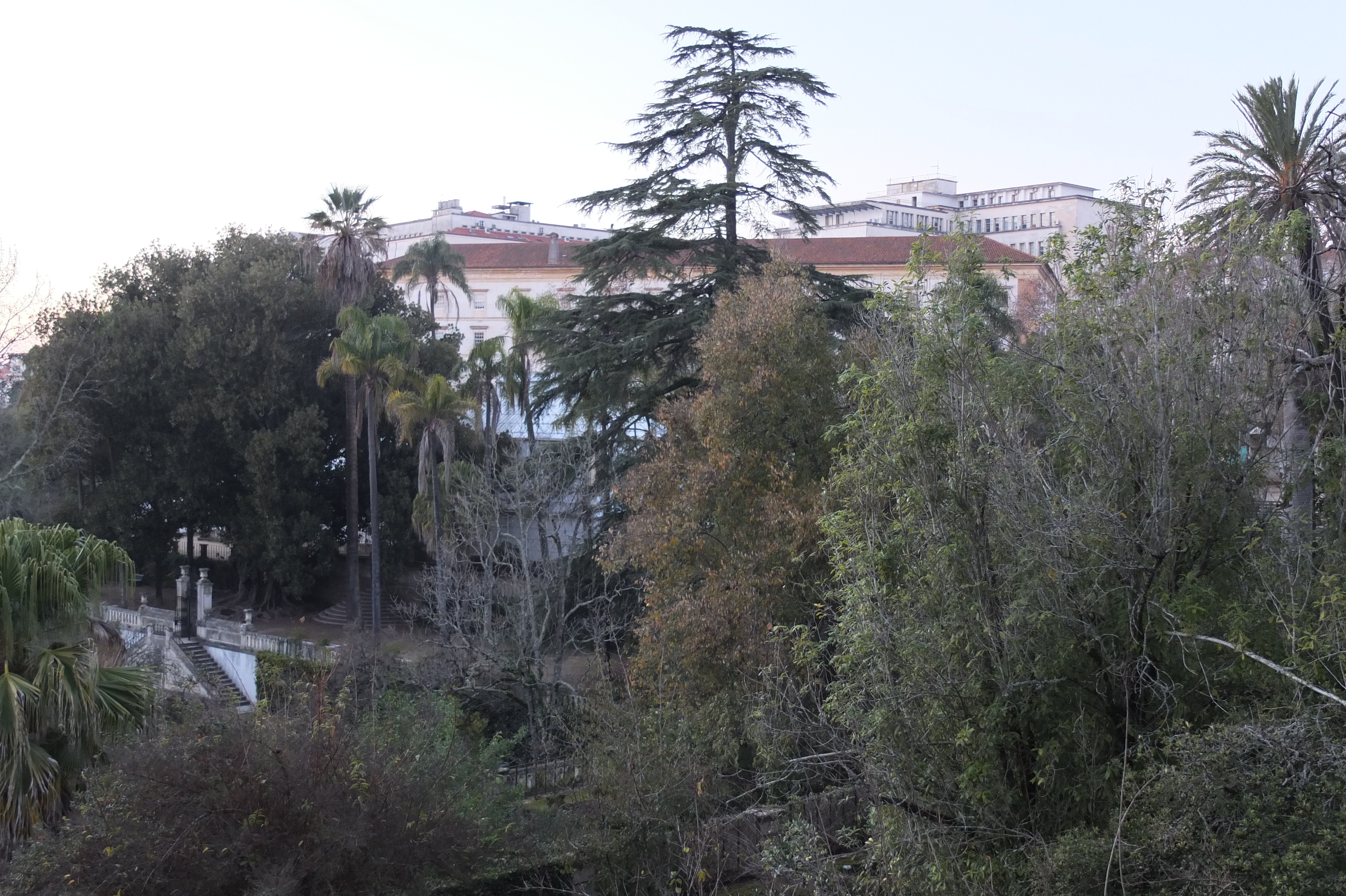 รูปถ่าย โปรตุเกส(Portugal) โกอิงบรา(Coimbra) 2013-01 60
