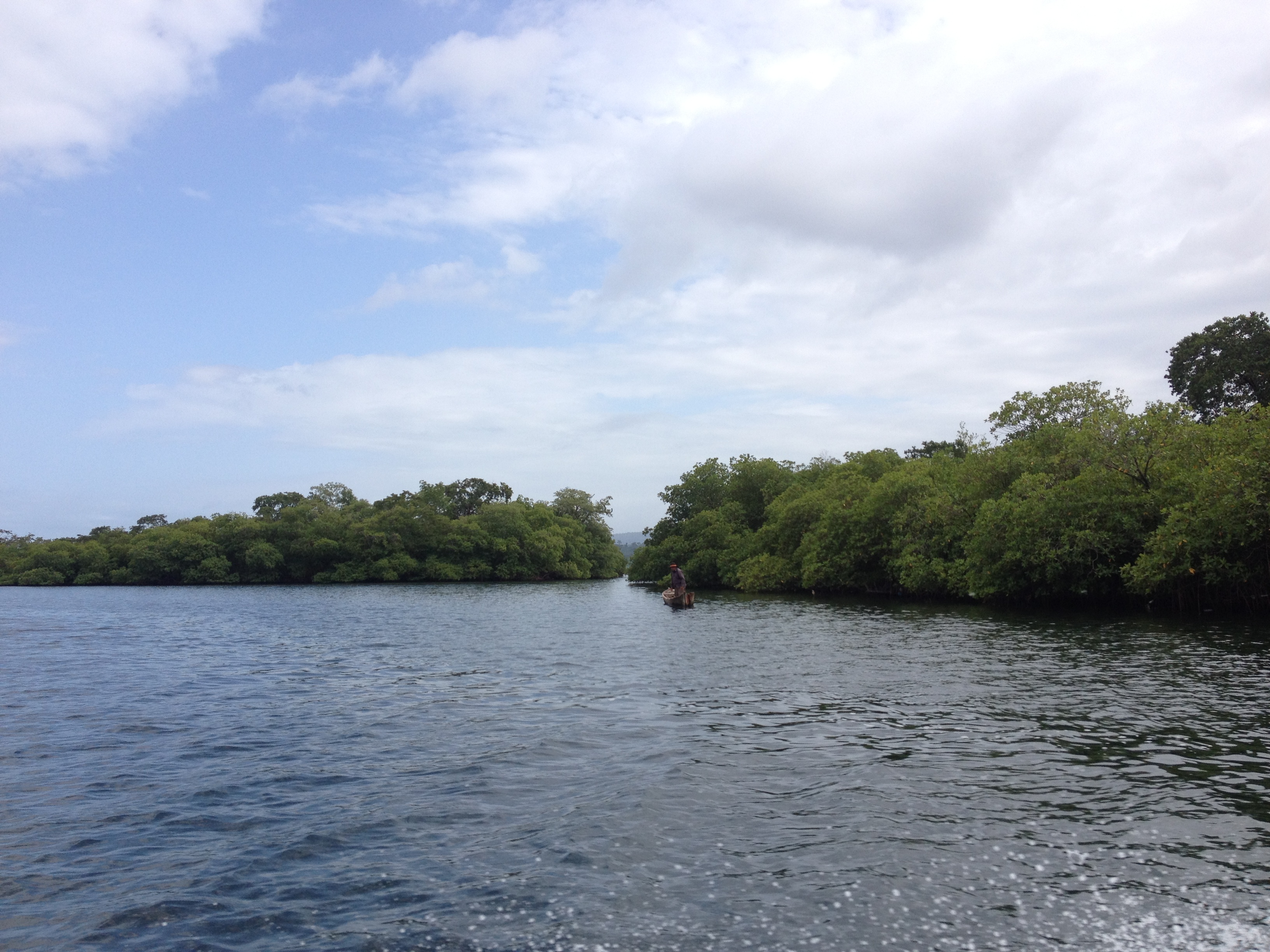 รูปถ่าย ปานามา(Panama) จากดาบิดไปโบกัสเดลโตโร(David to Bocas del toro) 2015-03 101