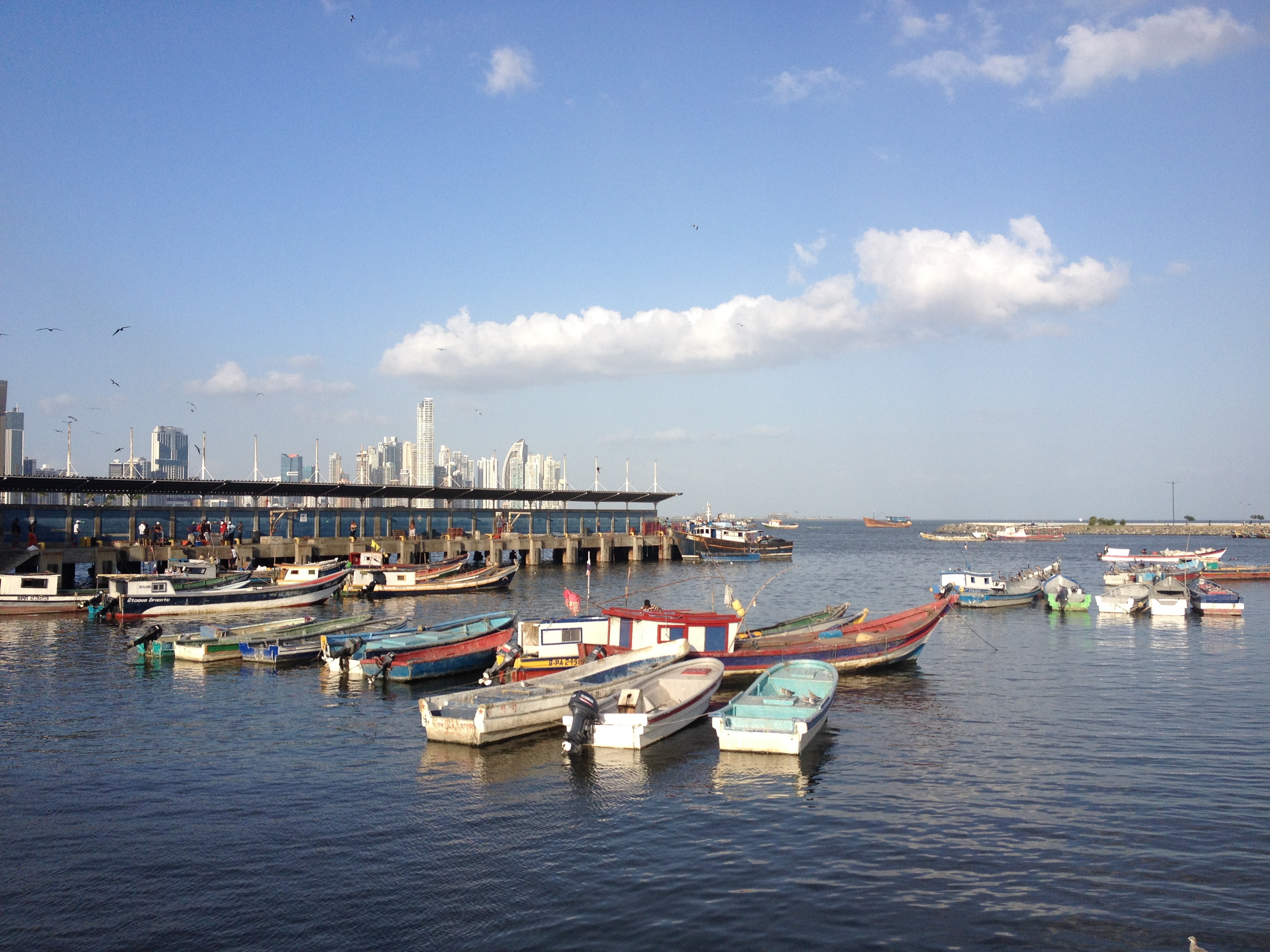 รูปถ่าย ปานามา(Panama) ปานามาซิตี(Panama City) 2015-03 57