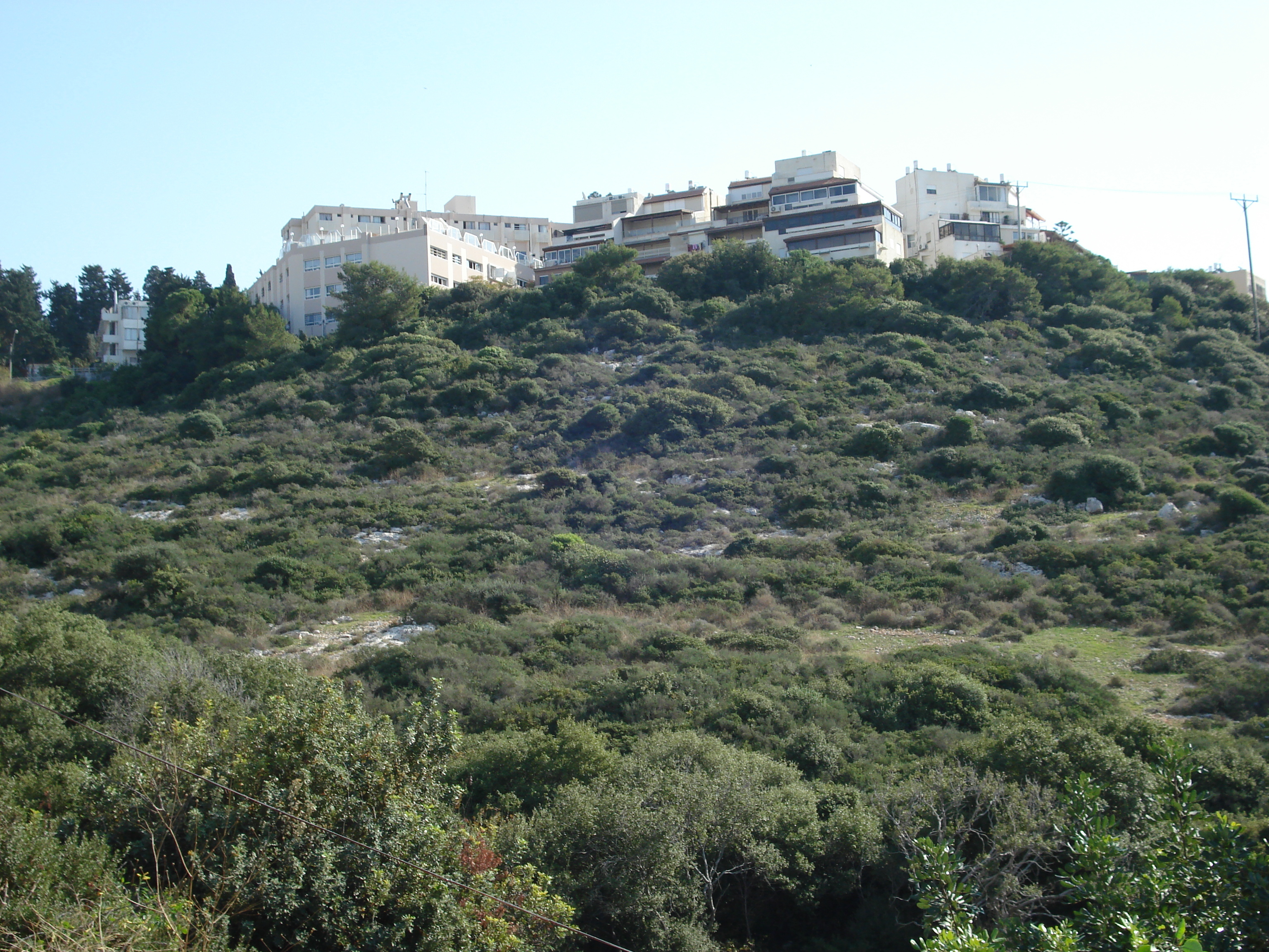 รูปถ่าย อิสราเอล(Israel) ไฮฟา(Haifa) คาร์เมล(Carmel) 2006-12 95