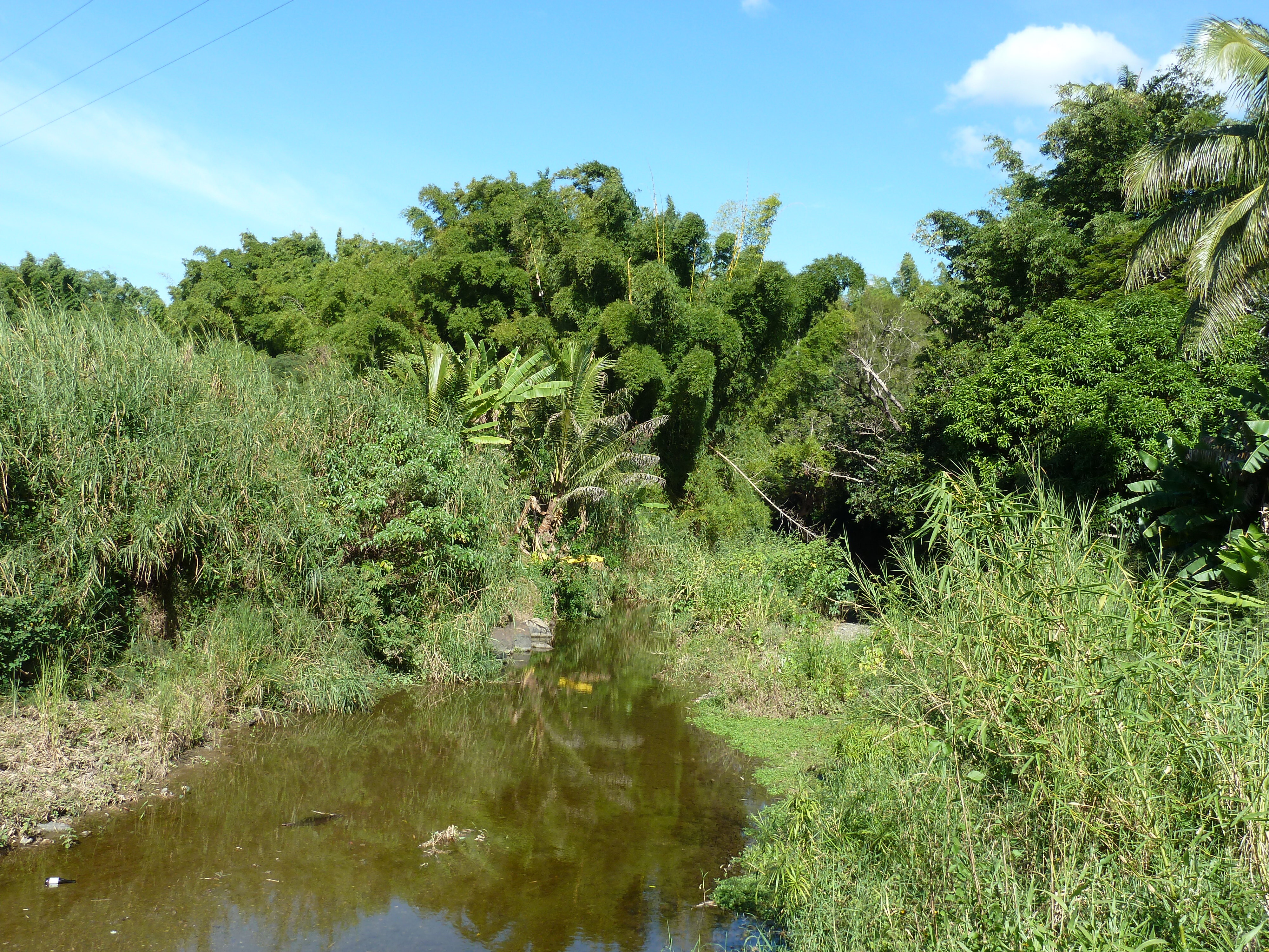 รูปถ่าย นิวแคลิโดเนีย(New Caledonia) ถนนจากกานาลาไปลาฟัว(Canala to La Foa road) 2010-05 14