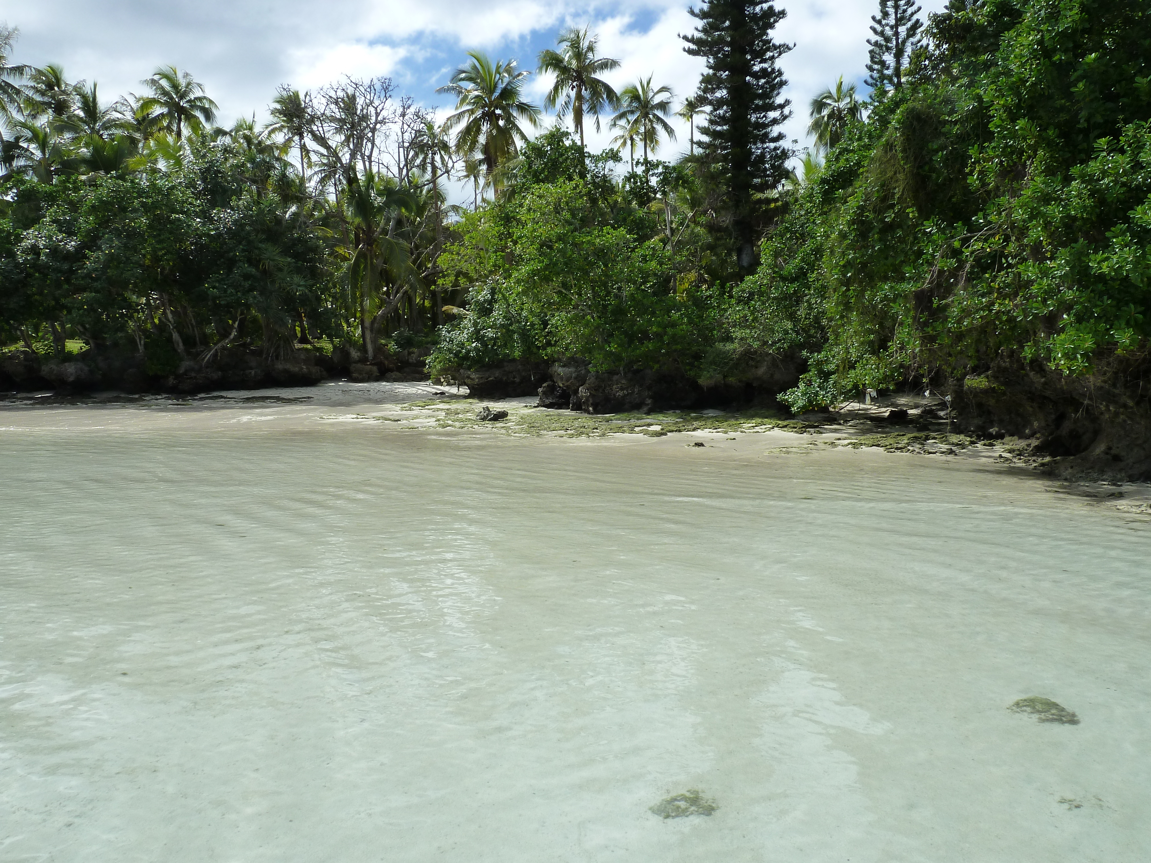 รูปถ่าย นิวแคลิโดเนีย(New Caledonia) เกาะลีฟู(Lifou) อ่าวเต่า(Baie des tortues) 2010-05 38