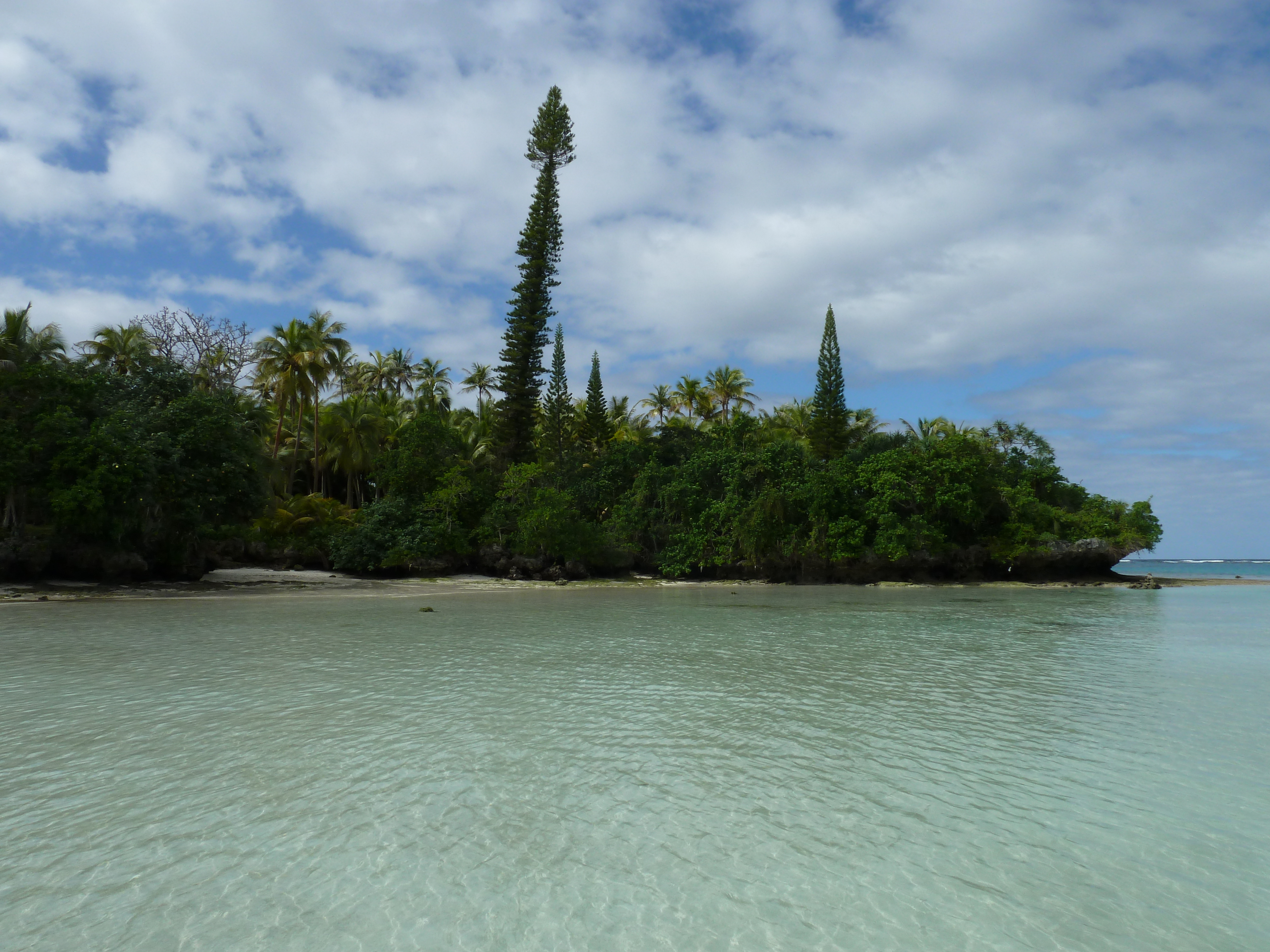 รูปถ่าย นิวแคลิโดเนีย(New Caledonia) เกาะลีฟู(Lifou) อ่าวเต่า(Baie des tortues) 2010-05 18