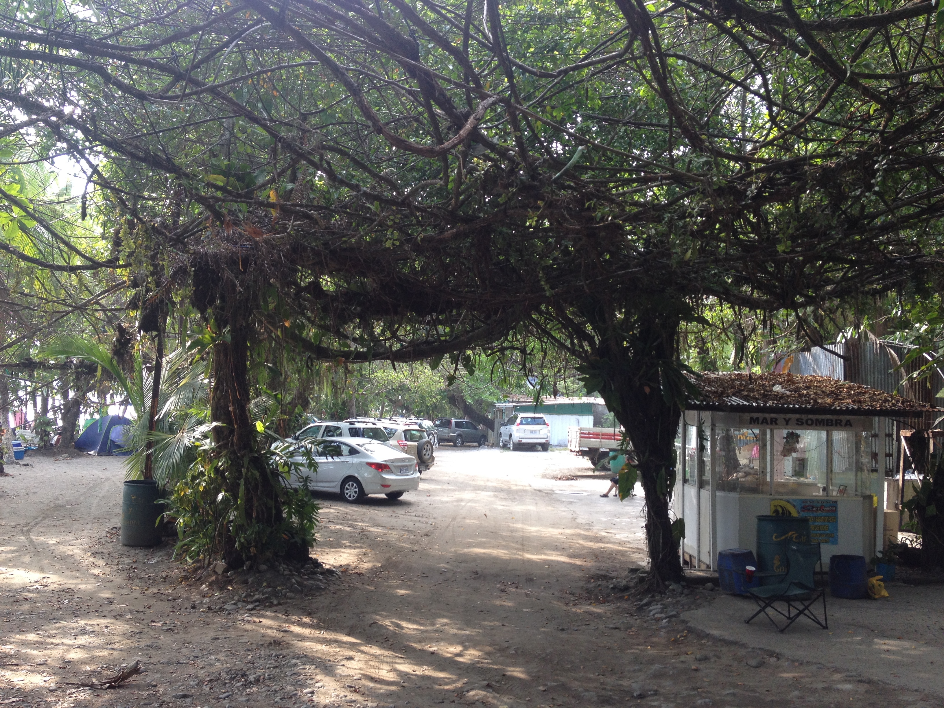 รูปถ่าย คอสตาริกา(Costa Rica) มานวยล์อันโตนีโอ(Manuel Antonio) 2015-03 355