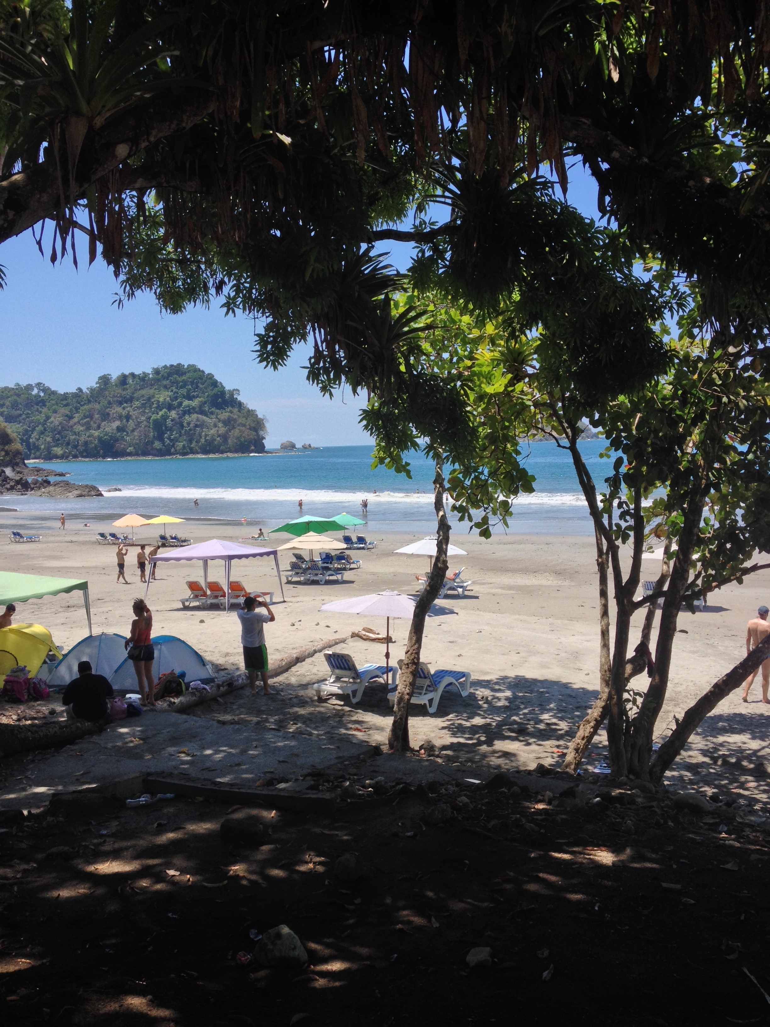 รูปถ่าย คอสตาริกา(Costa Rica) มานวยล์อันโตนีโอ(Manuel Antonio) 2015-03 522