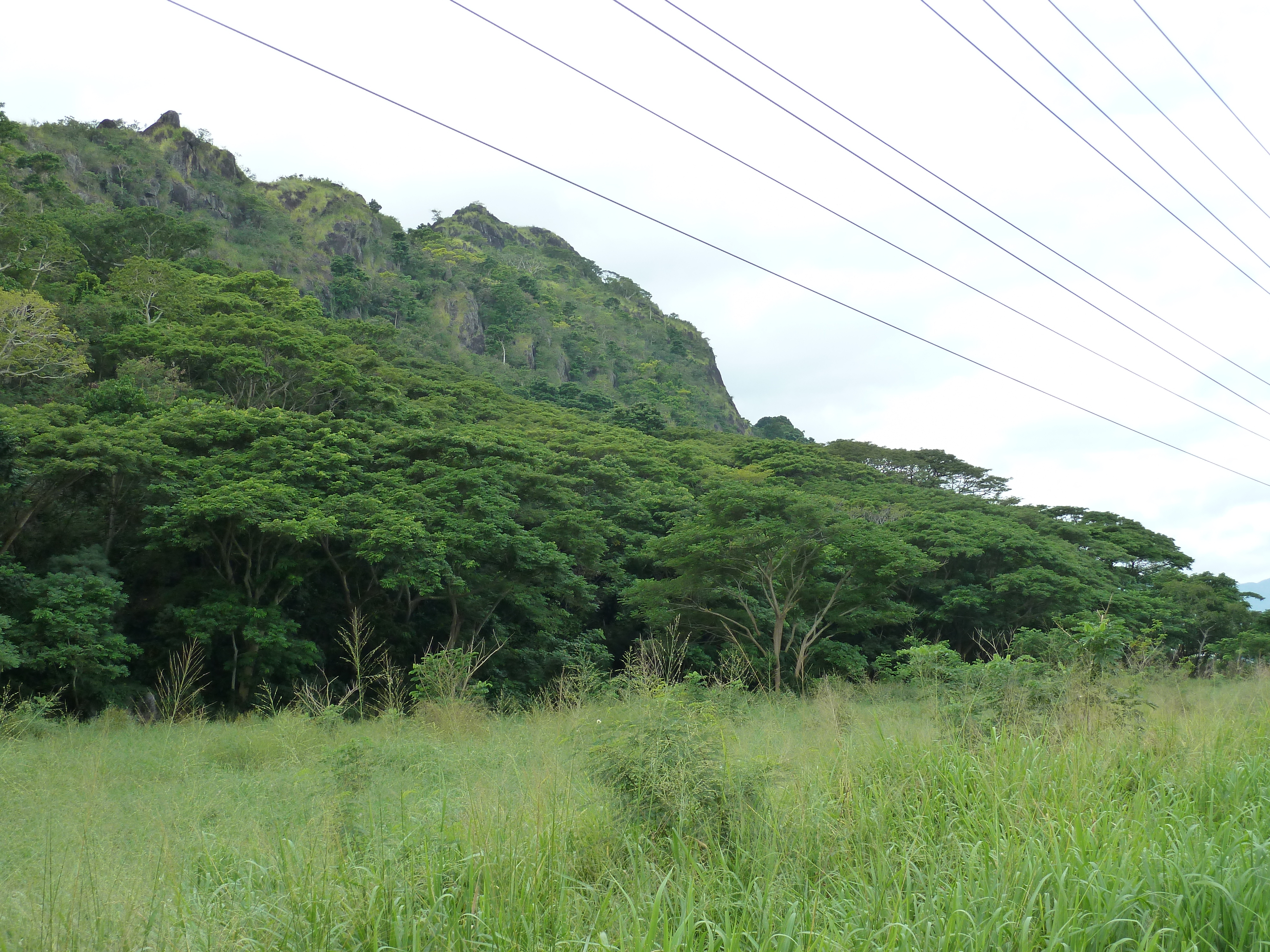 รูปถ่าย ฟิจิ(Fiji) ถนนจากนาดีไปเลาโตกา(Nadi to Lautoka road) 2010-05 13