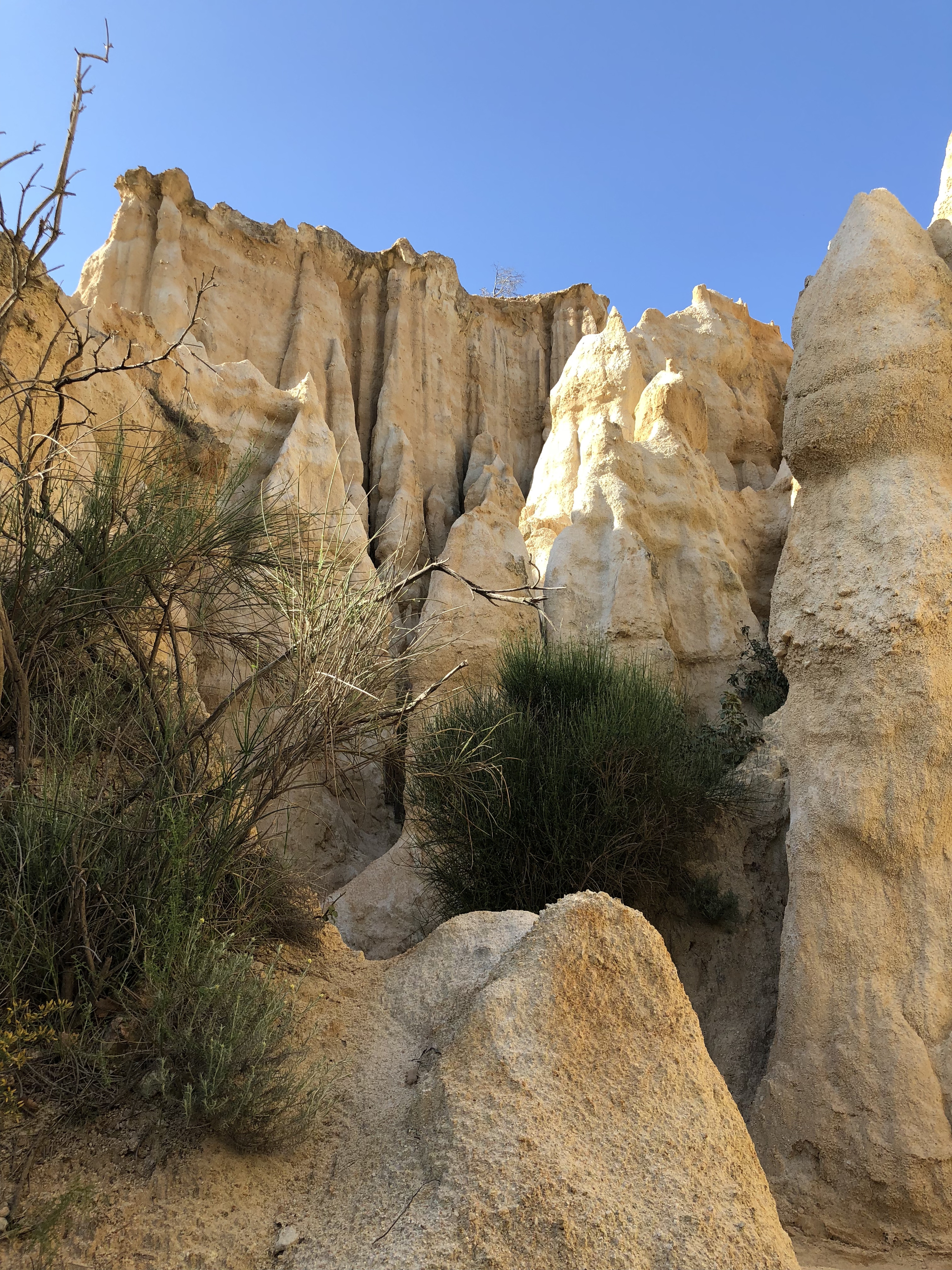 รูปถ่าย ฝรั่งเศส(France) เสาหินออร์กดีล-ซูร์-แต็ต(Orgues d'Ille Sur Tet) 2018-04 20
