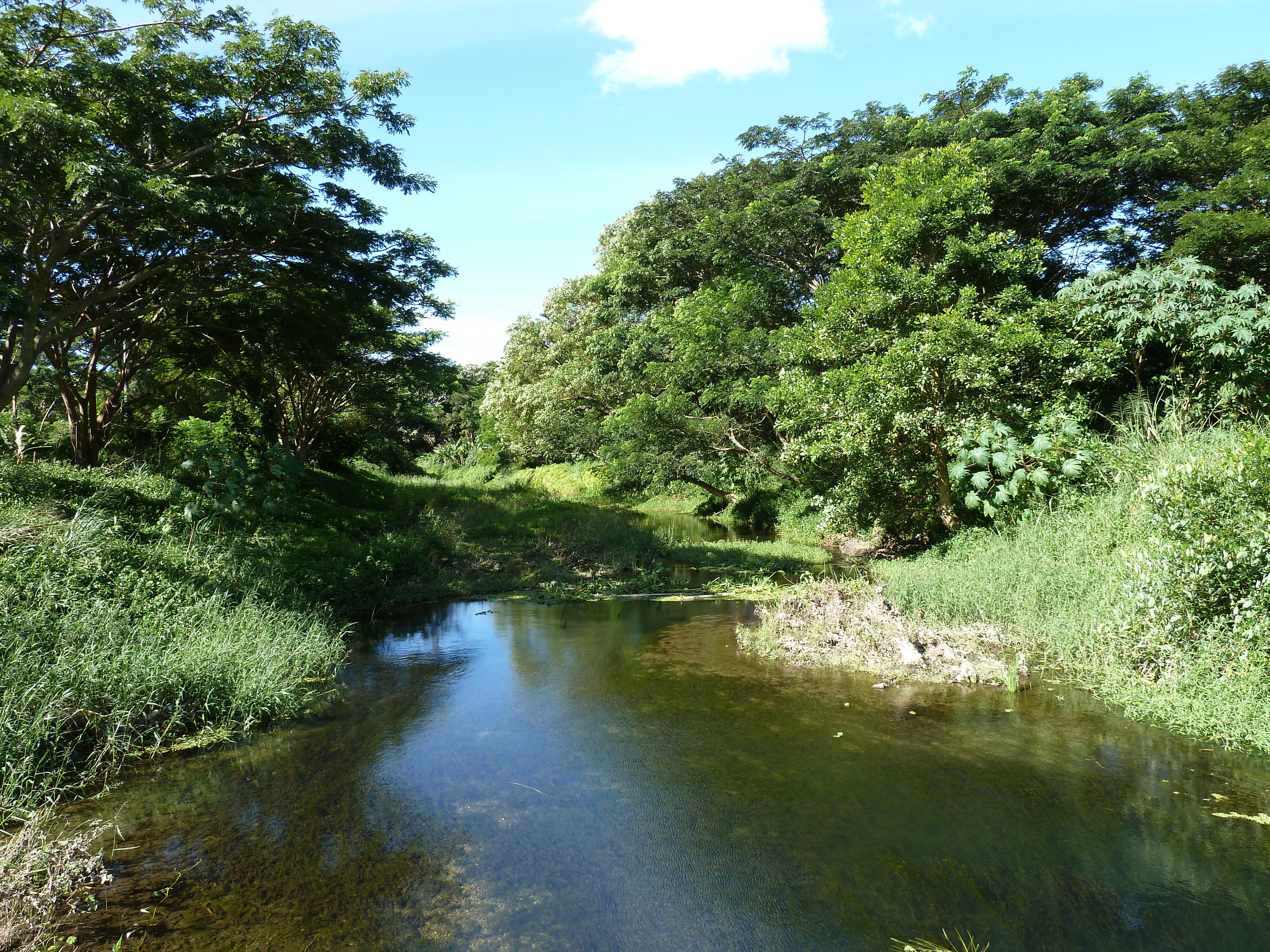 รูปถ่าย นิวแคลิโดเนีย(New Caledonia) ถนนจากทีโอไปกานาลา(Thio to Canala road) 2010-05 11