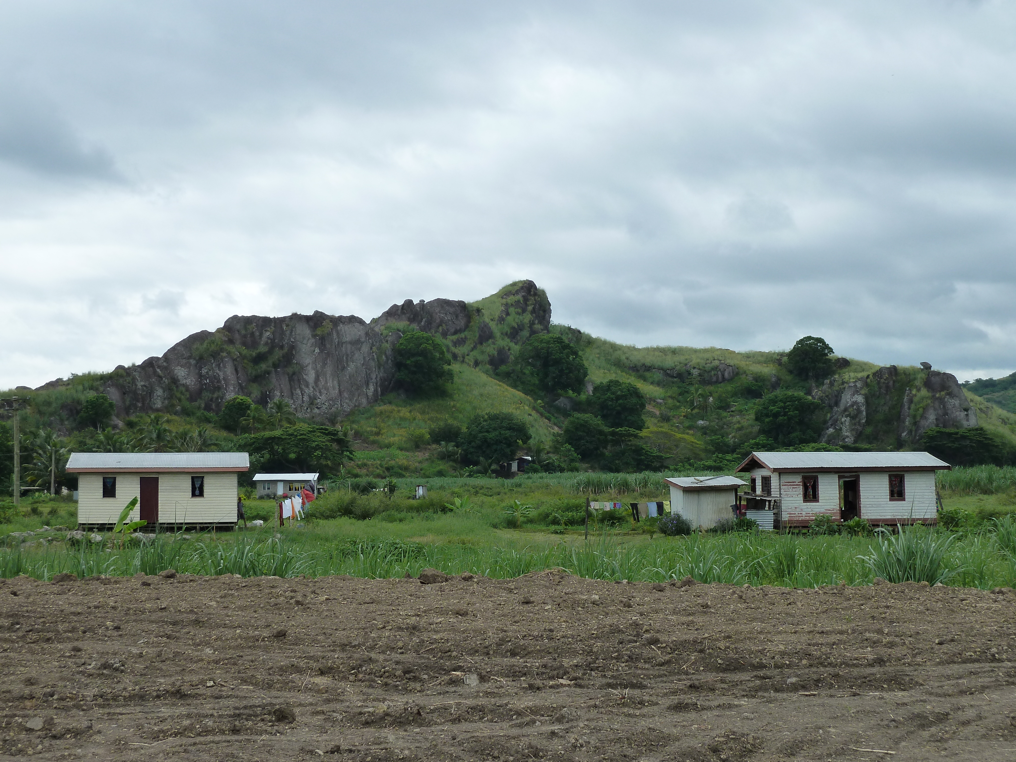 รูปถ่าย ฟิจิ(Fiji) ถนนจากนาดีไปเลาโตกา(Nadi to Lautoka road) 2010-05 3
