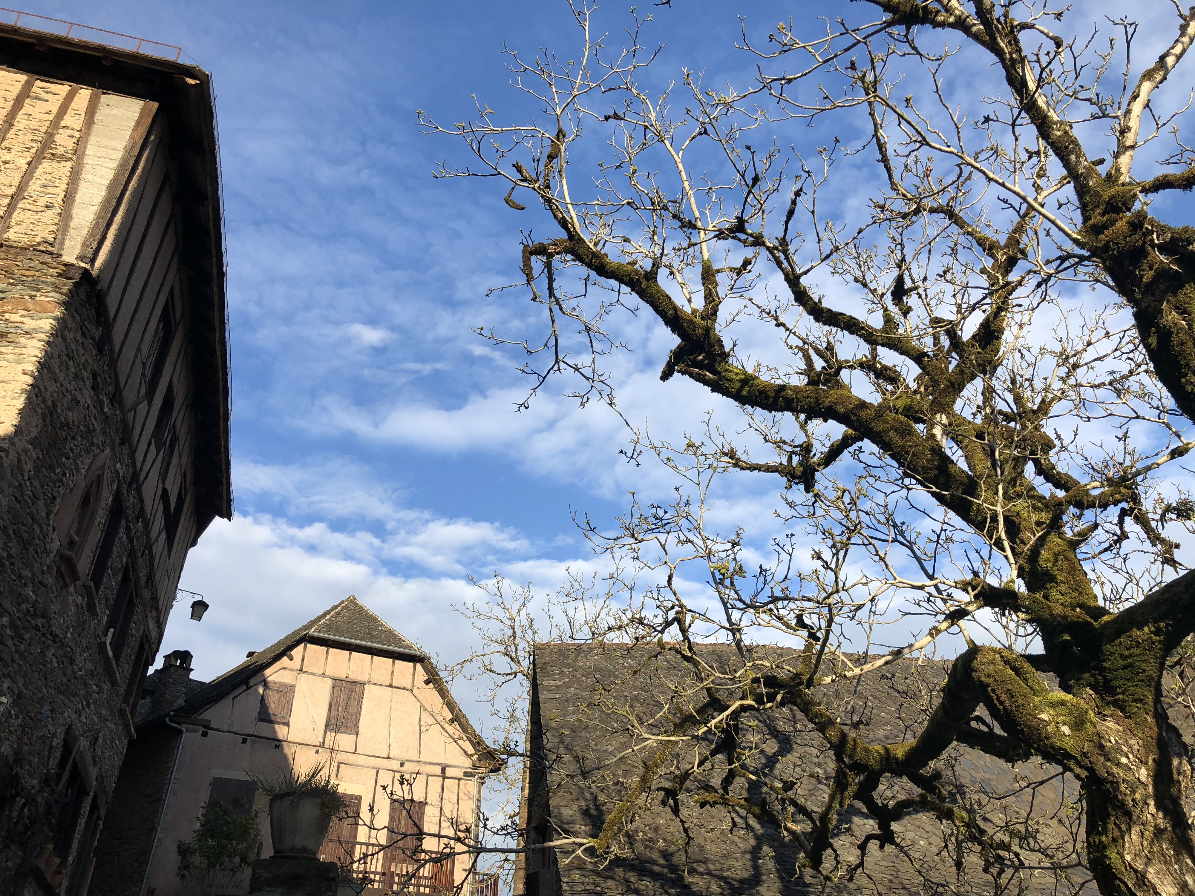 รูปถ่าย ฝรั่งเศส(France) กงก์(Conques) 2018-04 149