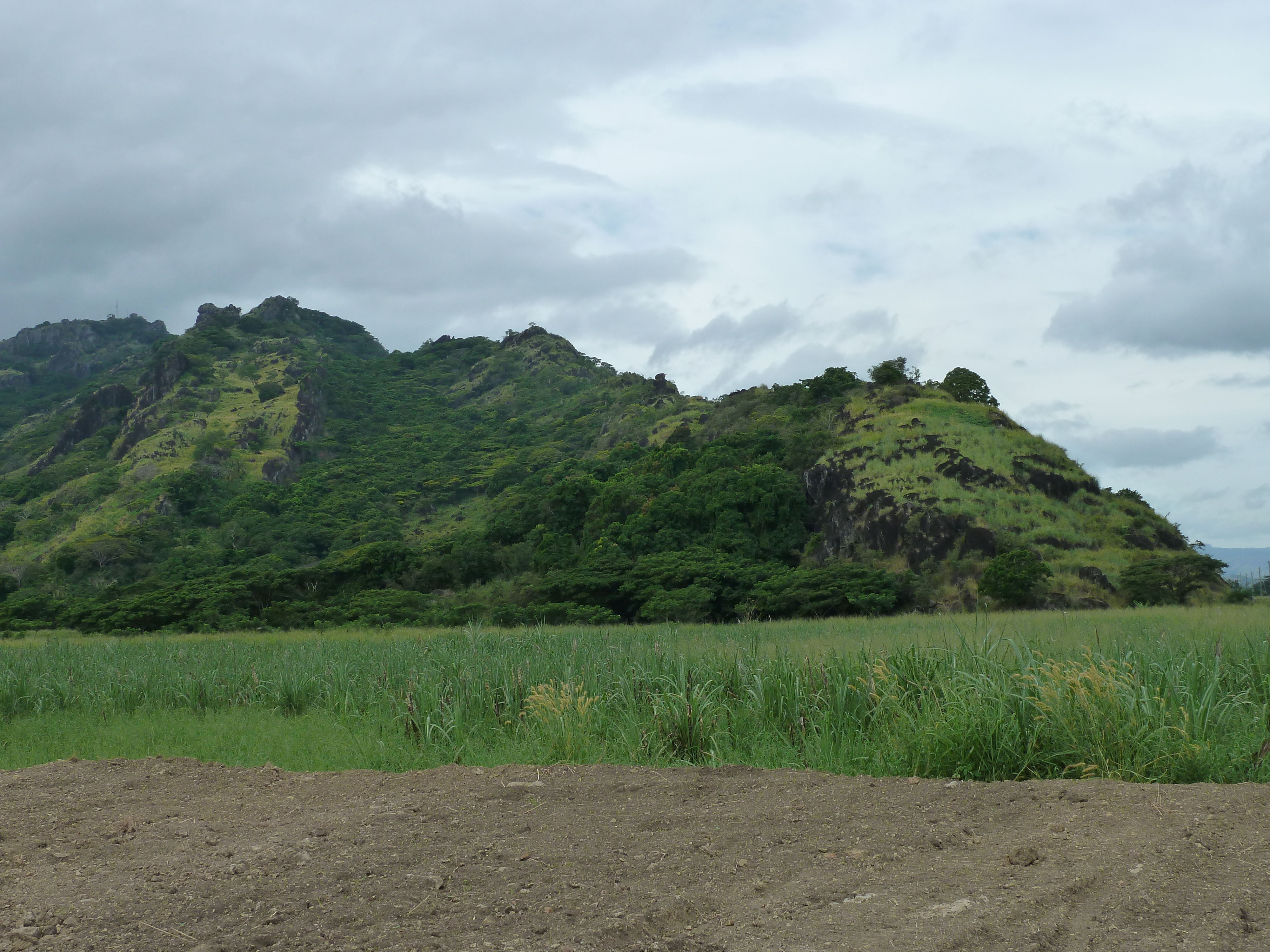 รูปถ่าย ฟิจิ(Fiji) ถนนจากนาดีไปเลาโตกา(Nadi to Lautoka road) 2010-05 1