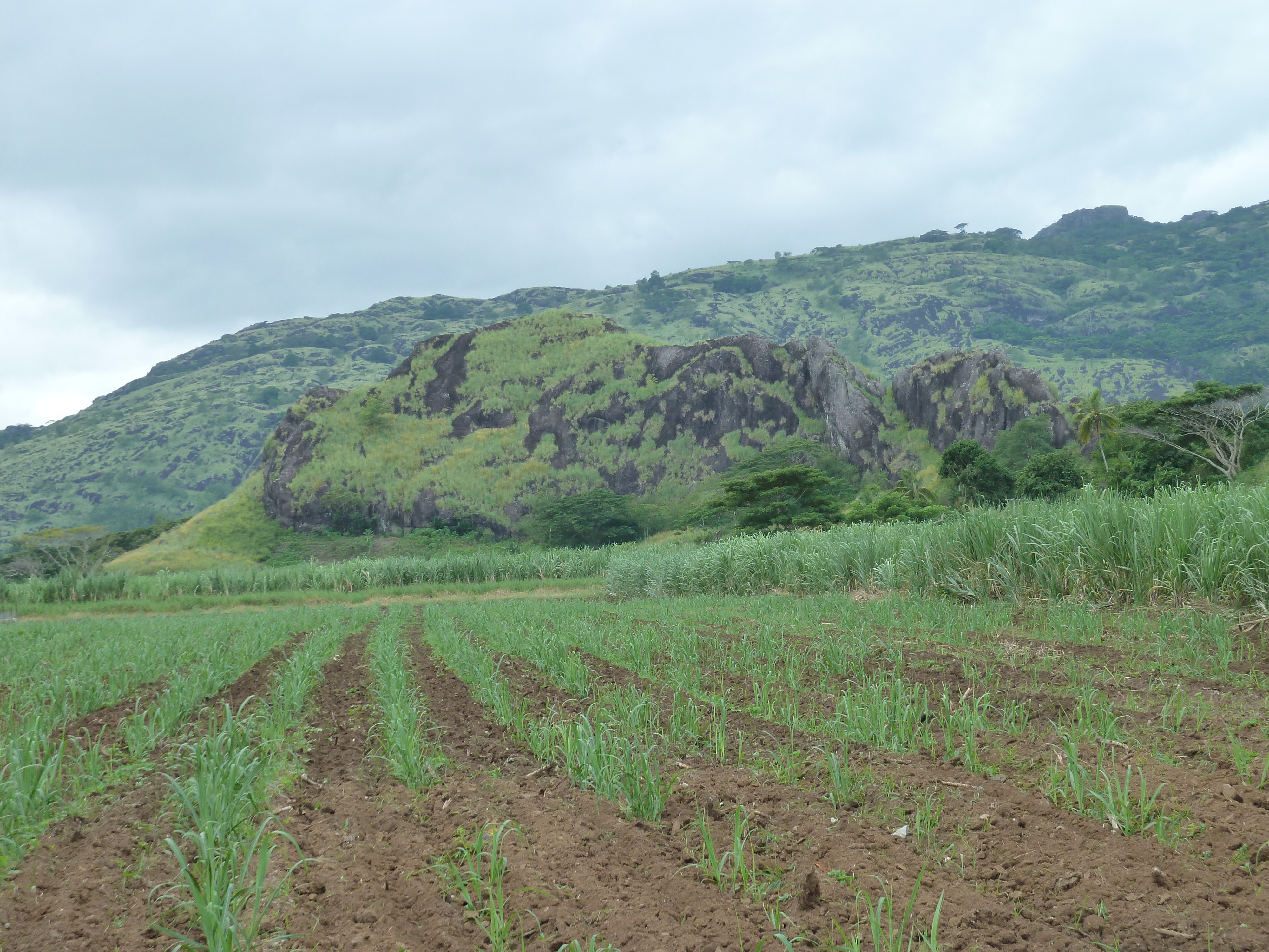 รูปถ่าย ฟิจิ(Fiji) ถนนจากนาดีไปเลาโตกา(Nadi to Lautoka road) 2010-05 4
