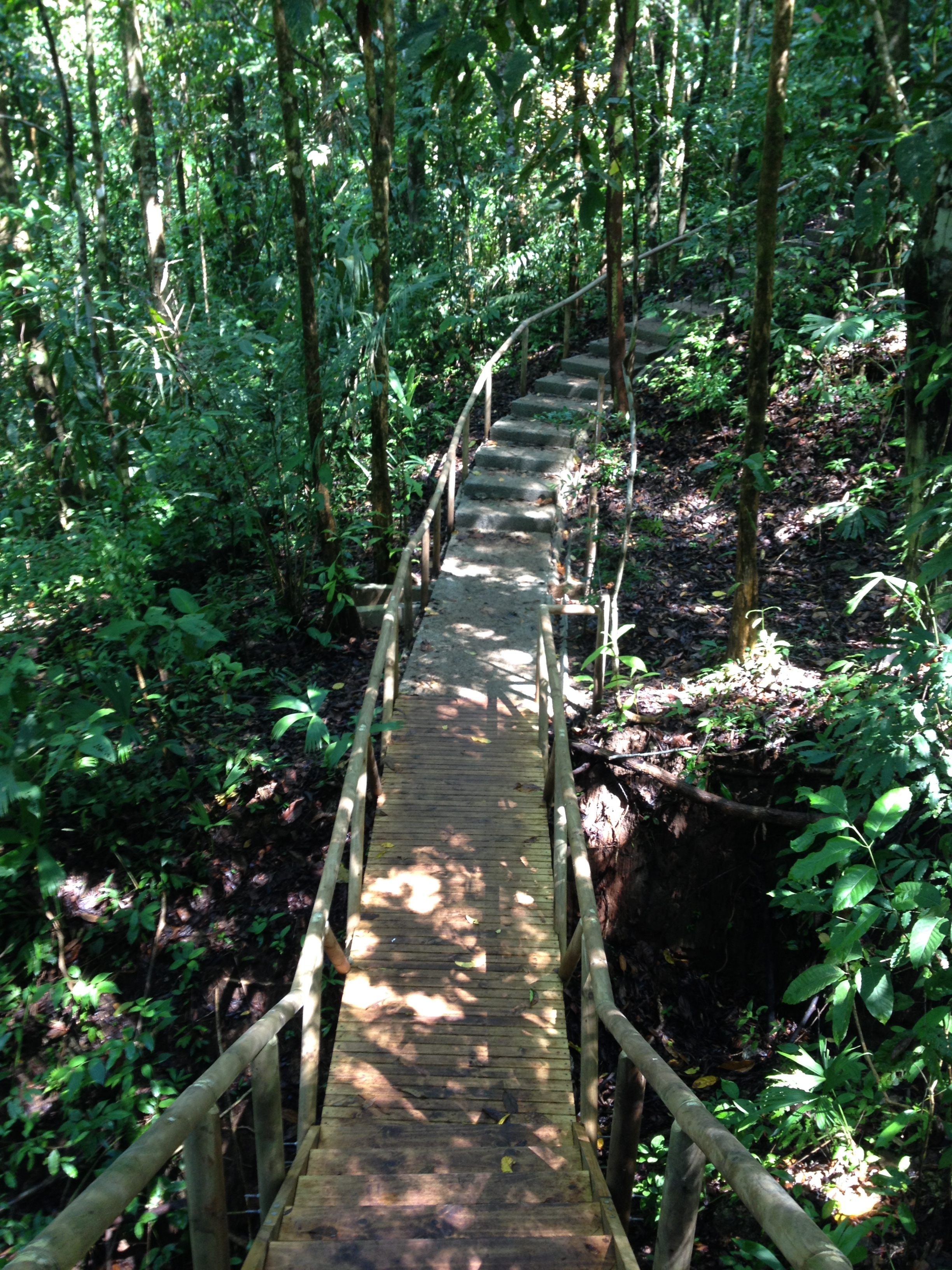 รูปถ่าย คอสตาริกา(Costa Rica) มานวยล์อันโตนีโอ(Manuel Antonio) 2015-03 139
