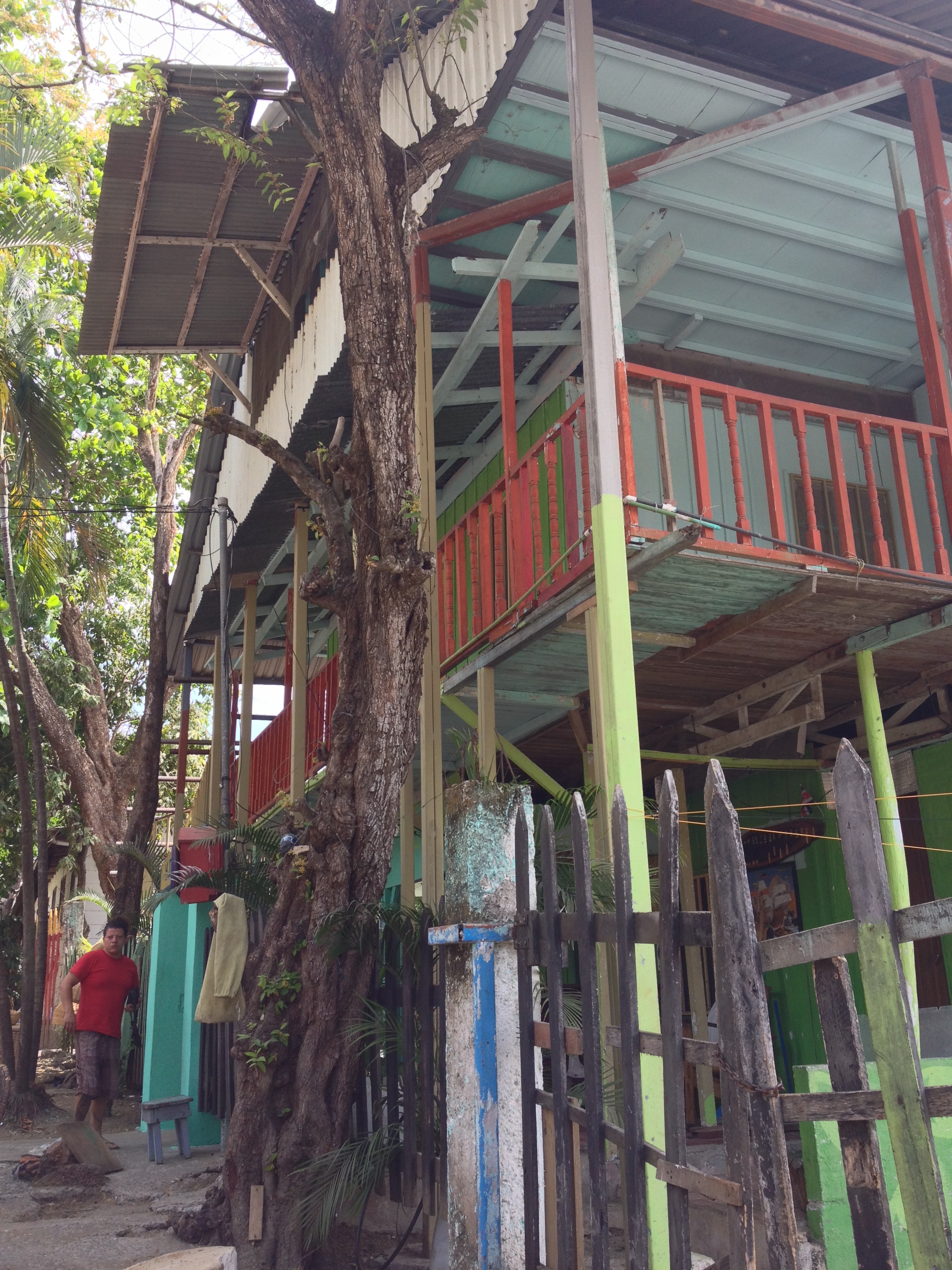 รูปถ่าย คอสตาริกา(Costa Rica) มอนเตซูมา(Montezuma) 2015-03 471