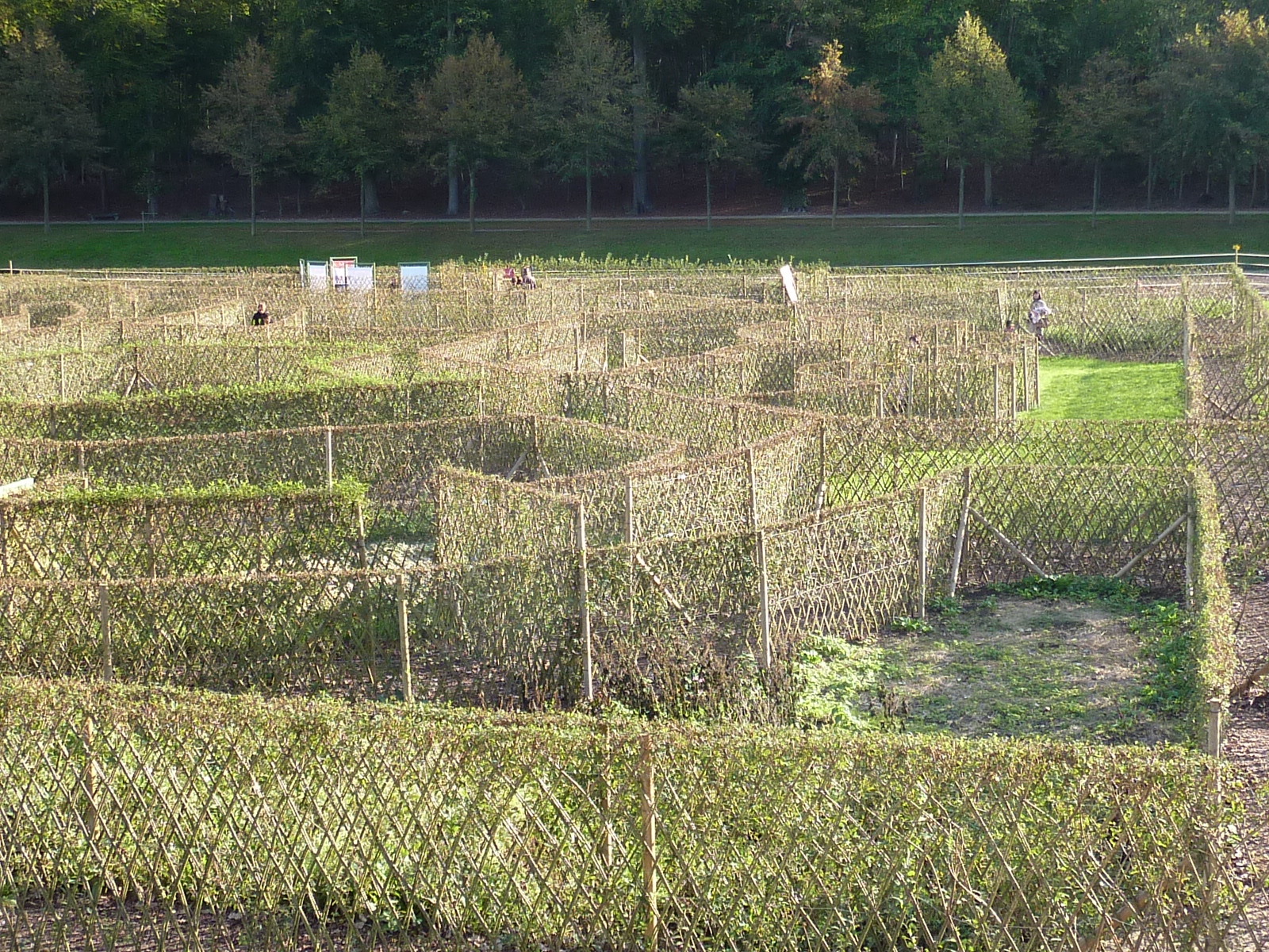 รูปถ่าย ฝรั่งเศส(France) ช็องตีญี(Chantilly) 2009-10 82