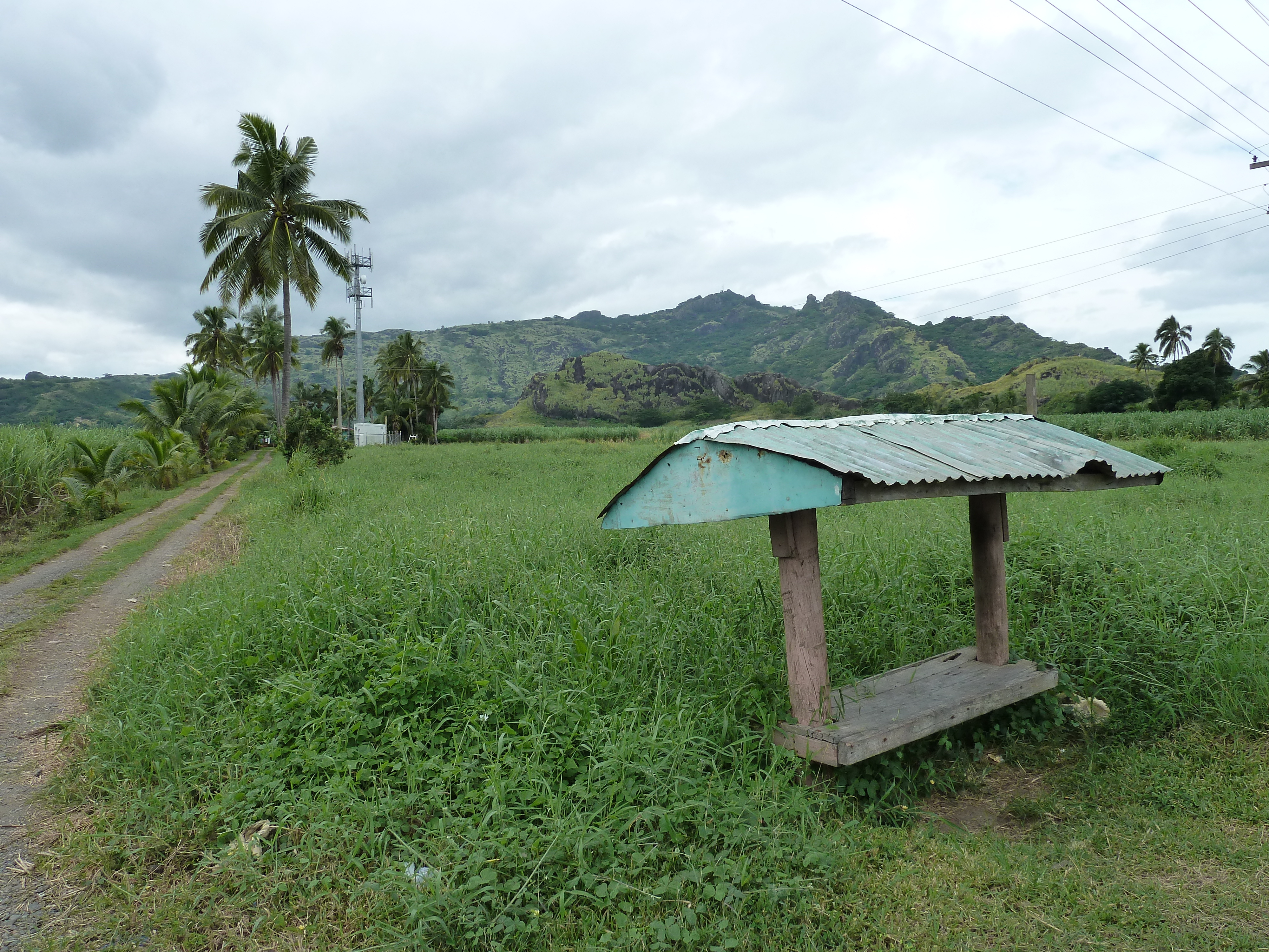รูปถ่าย ฟิจิ(Fiji) ถนนจากนาดีไปเลาโตกา(Nadi to Lautoka road) 2010-05 7