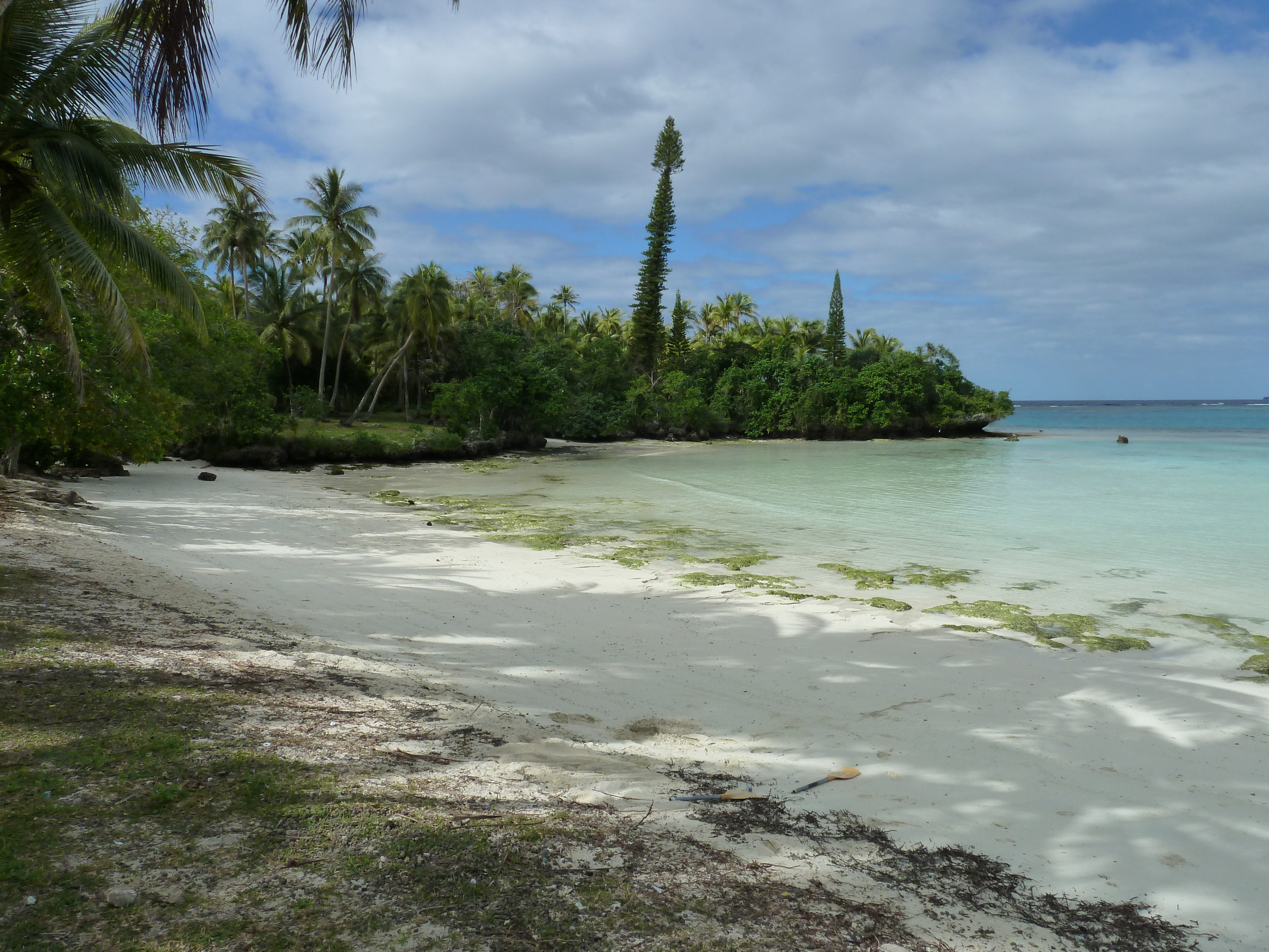 รูปถ่าย นิวแคลิโดเนีย(New Caledonia) เกาะลีฟู(Lifou) อ่าวเต่า(Baie des tortues) 2010-05 40