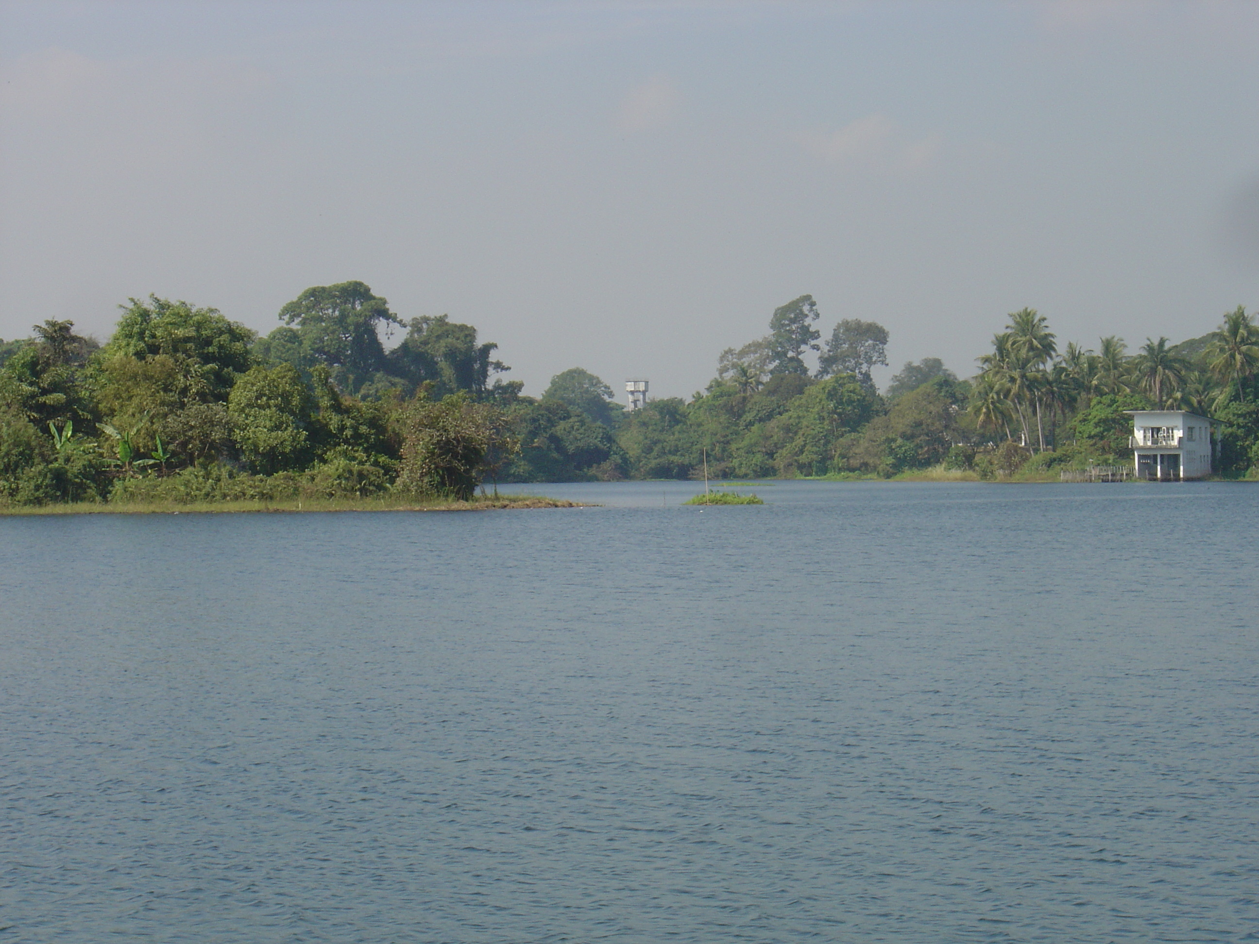 รูปถ่าย พม่า(Myanmar) ย่างกุ้ง(Yangon) โรงแรมดุสิต อินยาเลค(Dusit Inya Lake Hotel) 2005-01 14