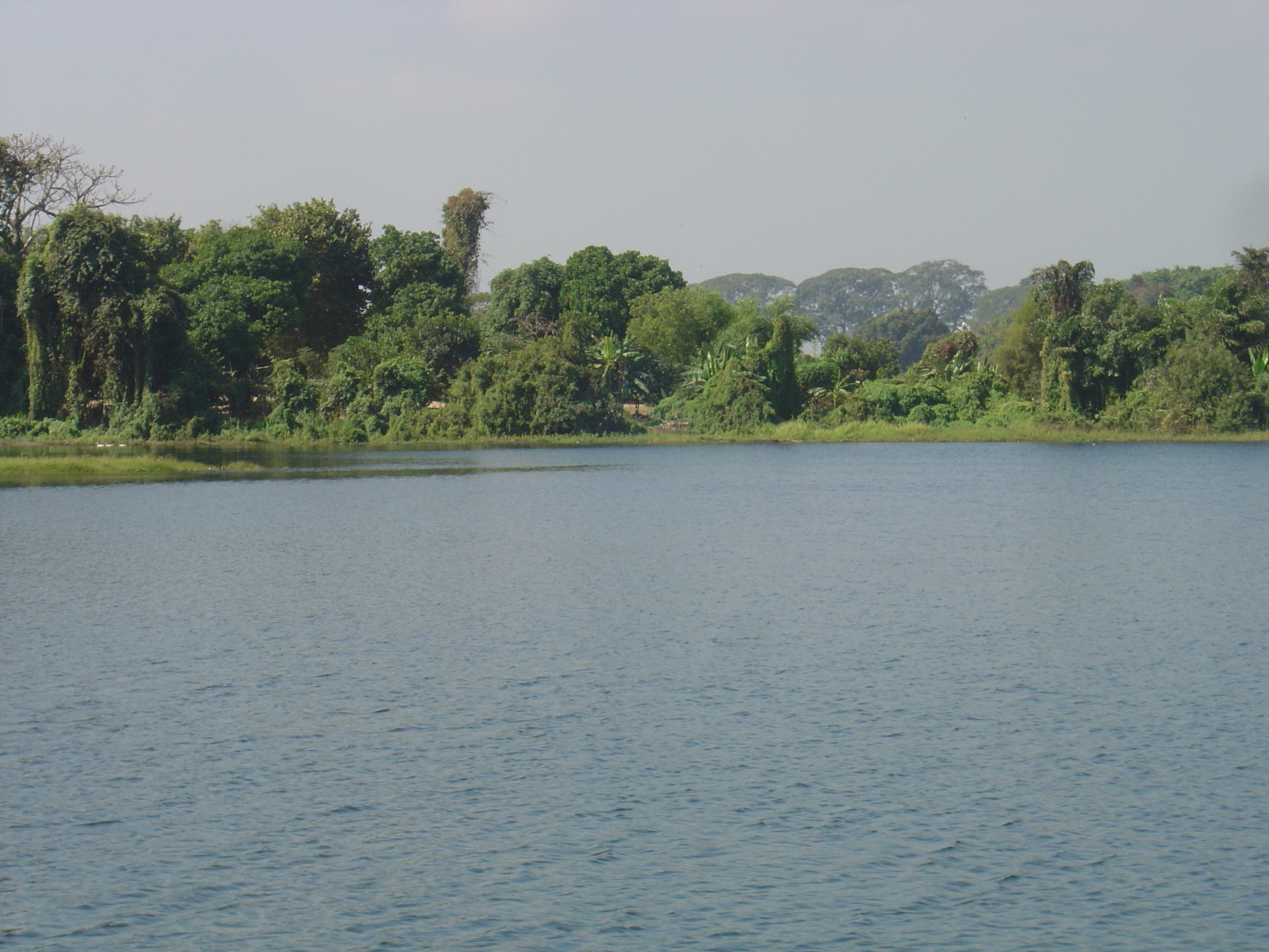 รูปถ่าย พม่า(Myanmar) ย่างกุ้ง(Yangon) โรงแรมดุสิต อินยาเลค(Dusit Inya Lake Hotel) 2005-01 16