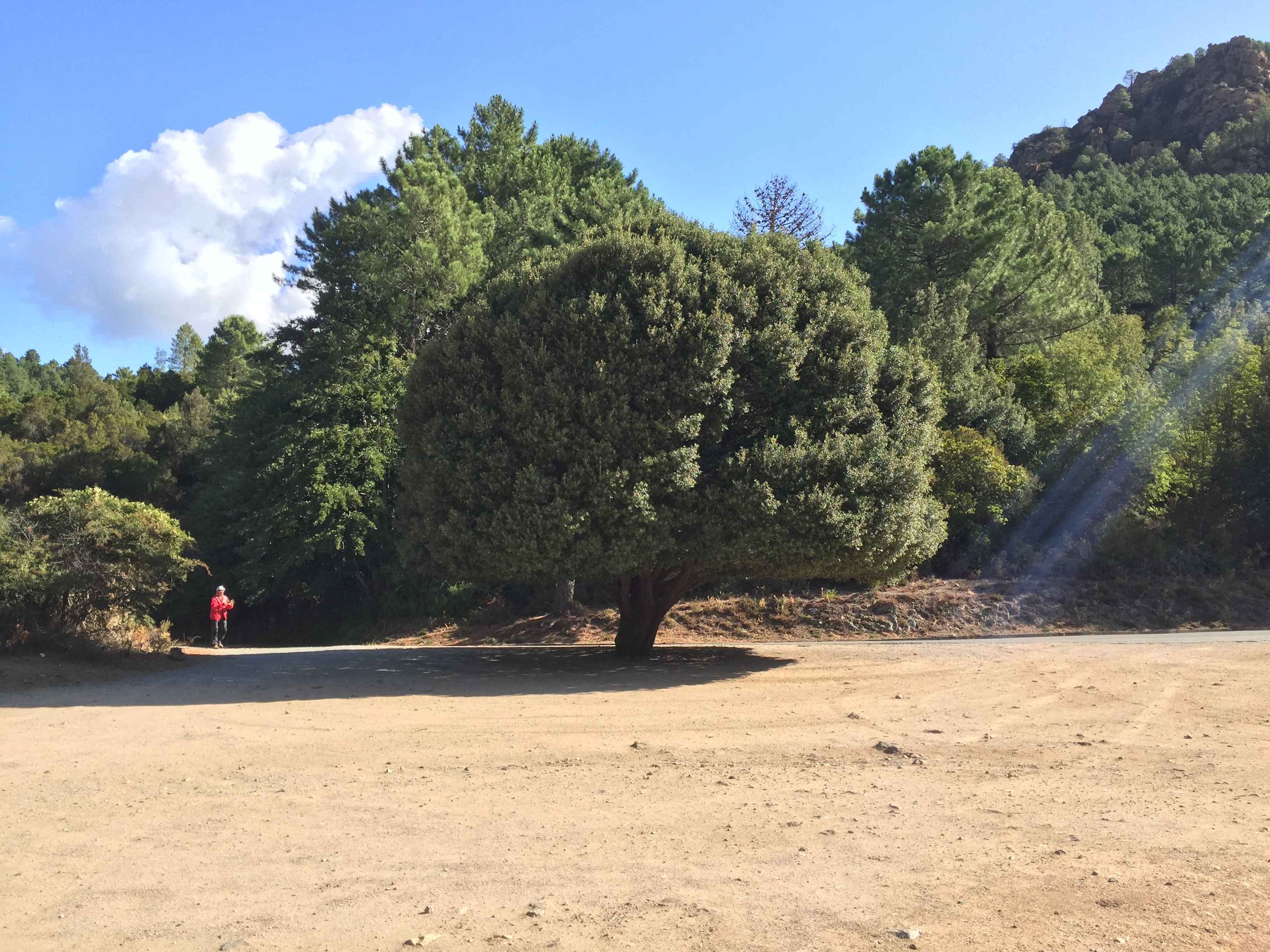 รูปถ่าย ฝรั่งเศส(France) คอร์สิคา(Corsica) เกนซา(Quenza) 2017-09 8