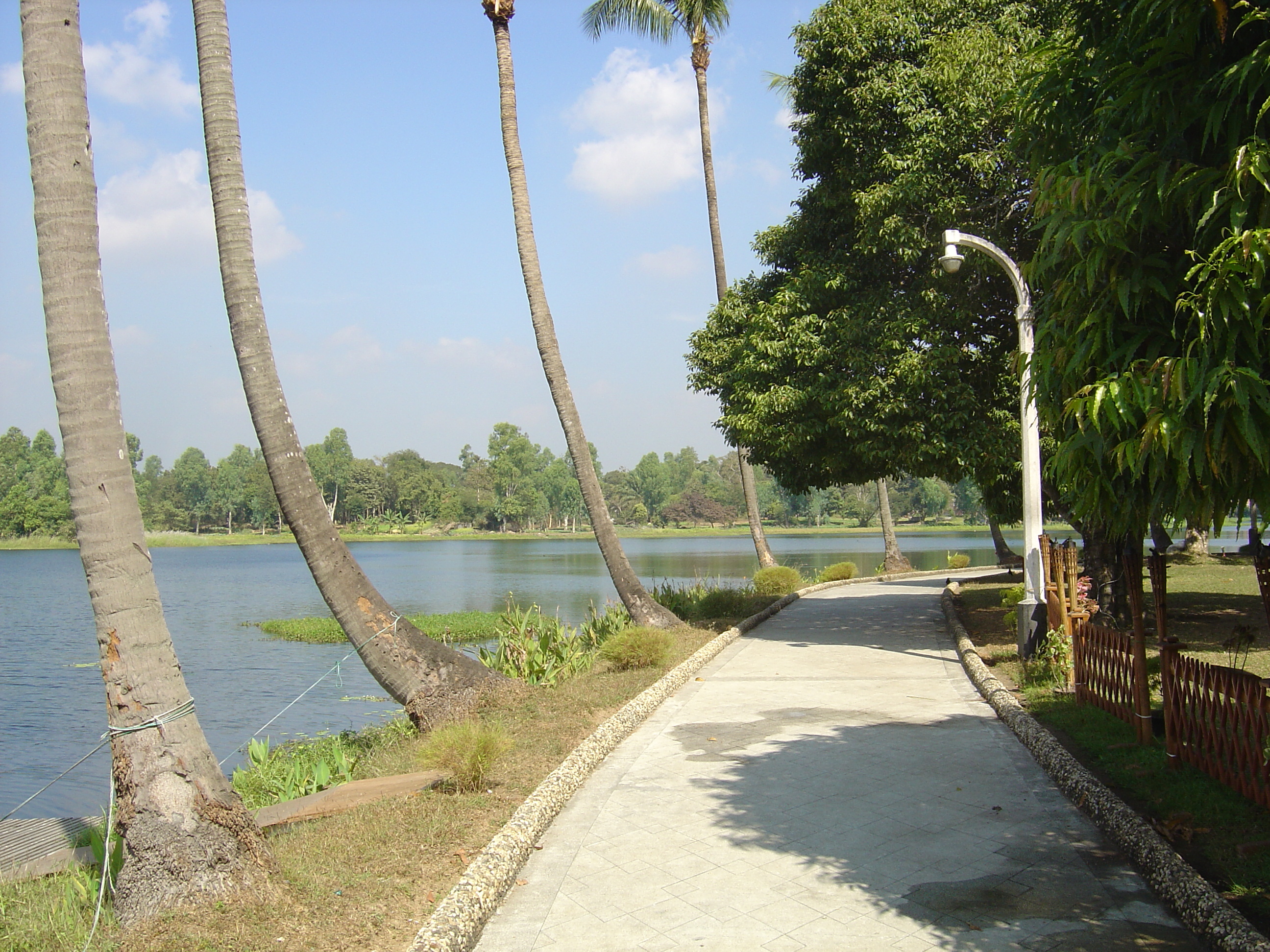 รูปถ่าย พม่า(Myanmar) ย่างกุ้ง(Yangon) โรงแรมดุสิต อินยาเลค(Dusit Inya Lake Hotel) 2005-01 8