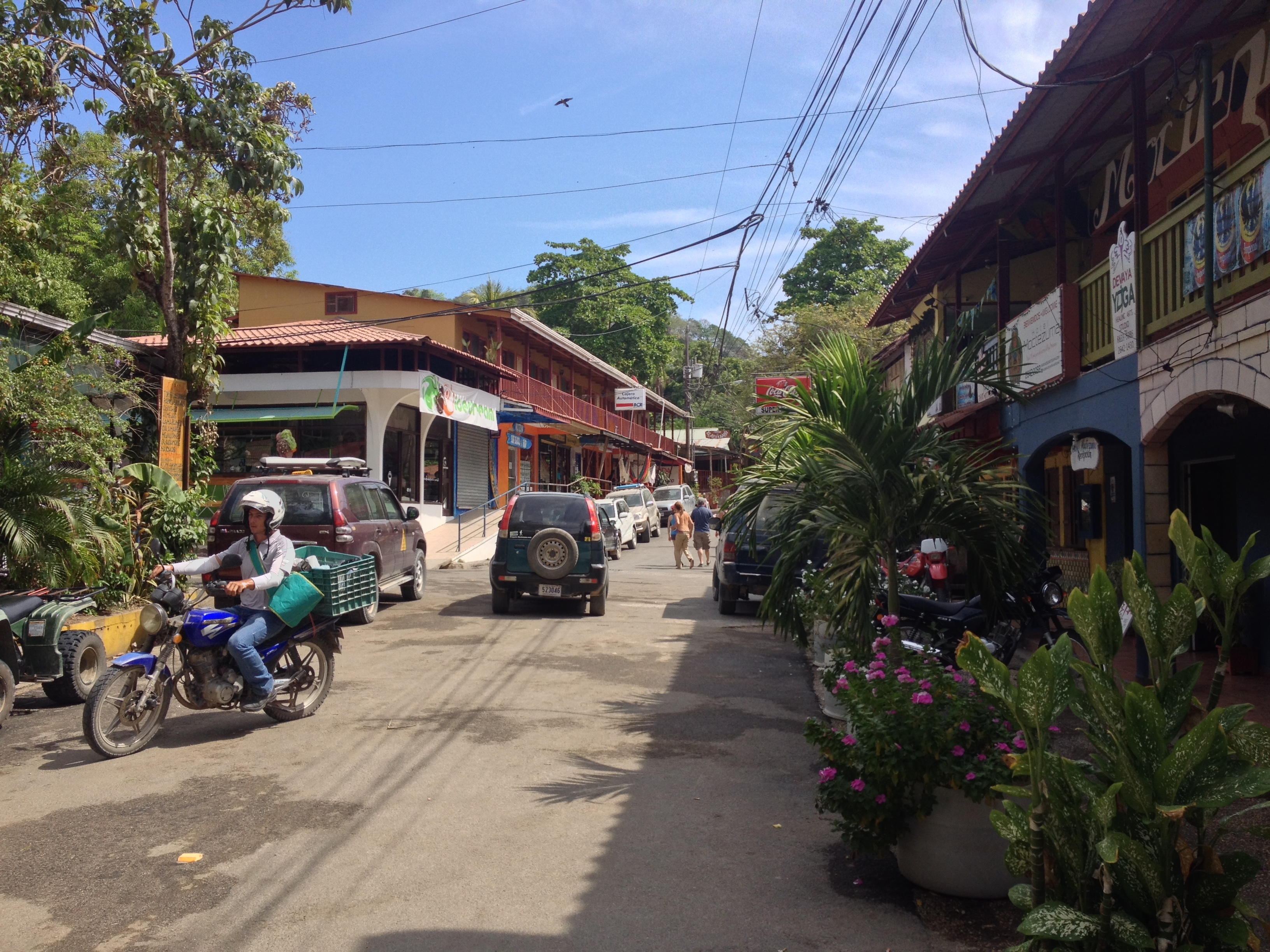 รูปถ่าย คอสตาริกา(Costa Rica) มอนเตซูมา(Montezuma) 2015-03 266