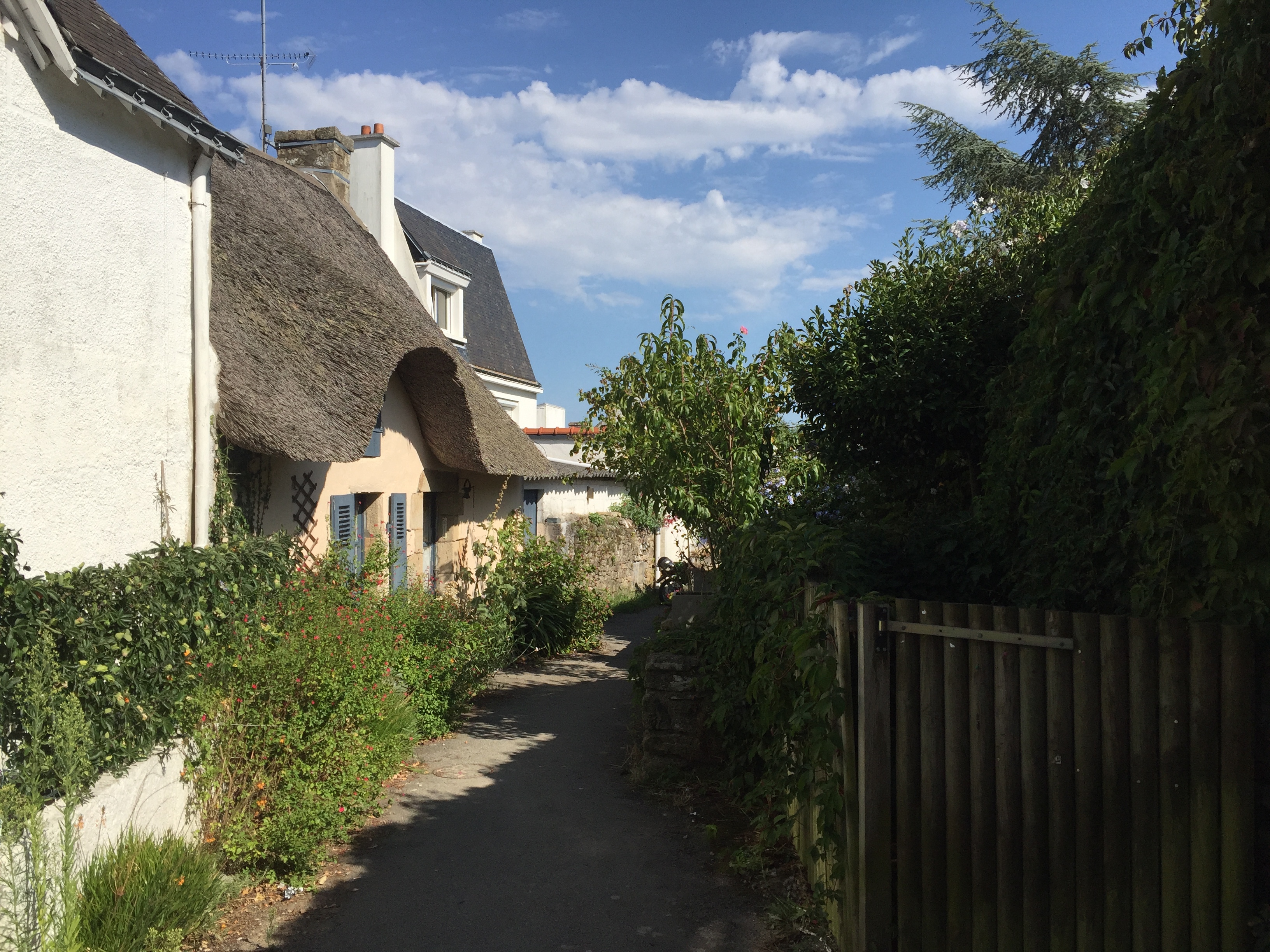 รูปถ่าย ฝรั่งเศส(France) เกาะโอมวน(Ile-aux-Moines) 2016-08 106