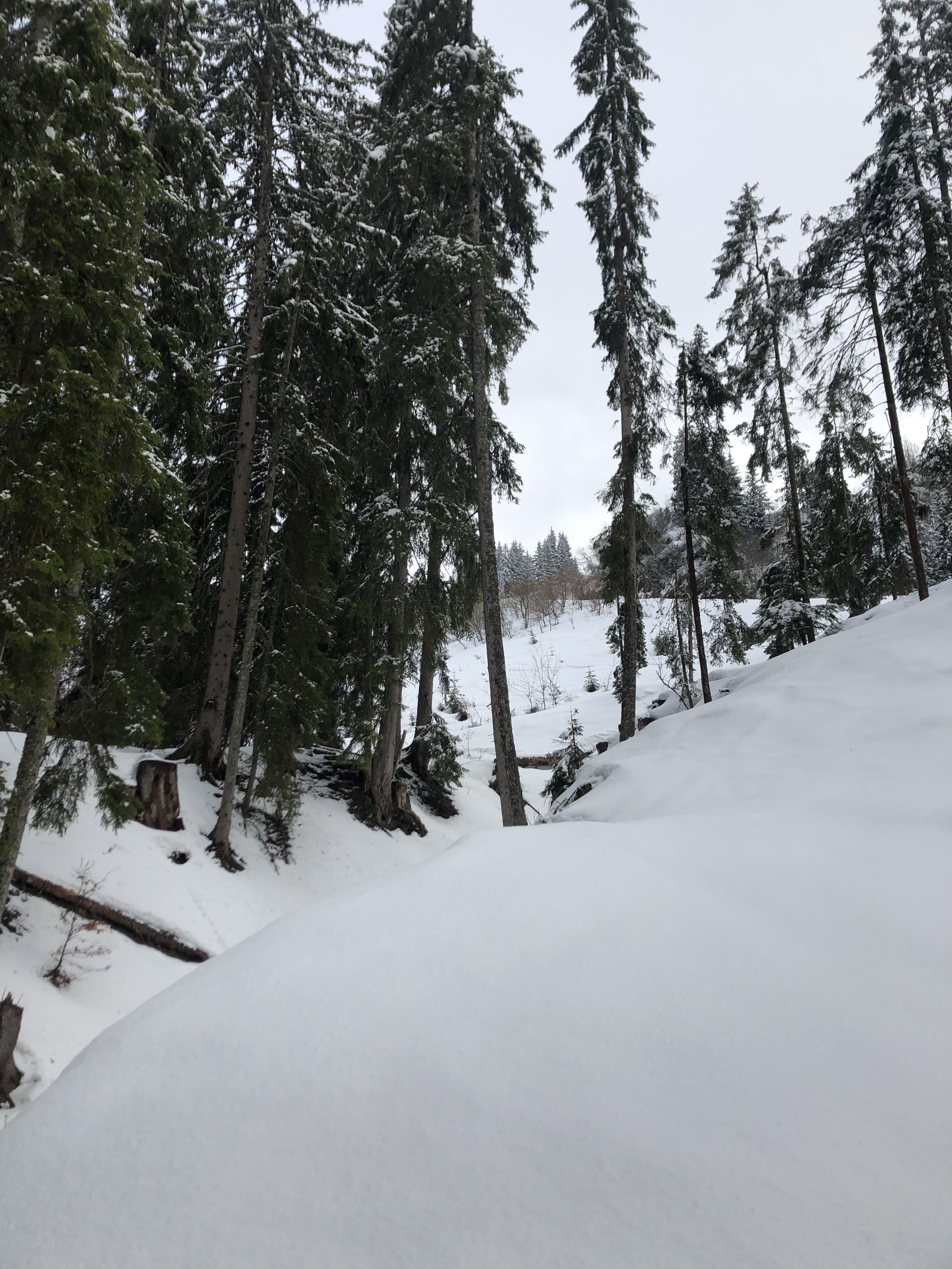 รูปถ่าย ฝรั่งเศส(France) เมแฌฟว์(Megeve) 2019-03 51