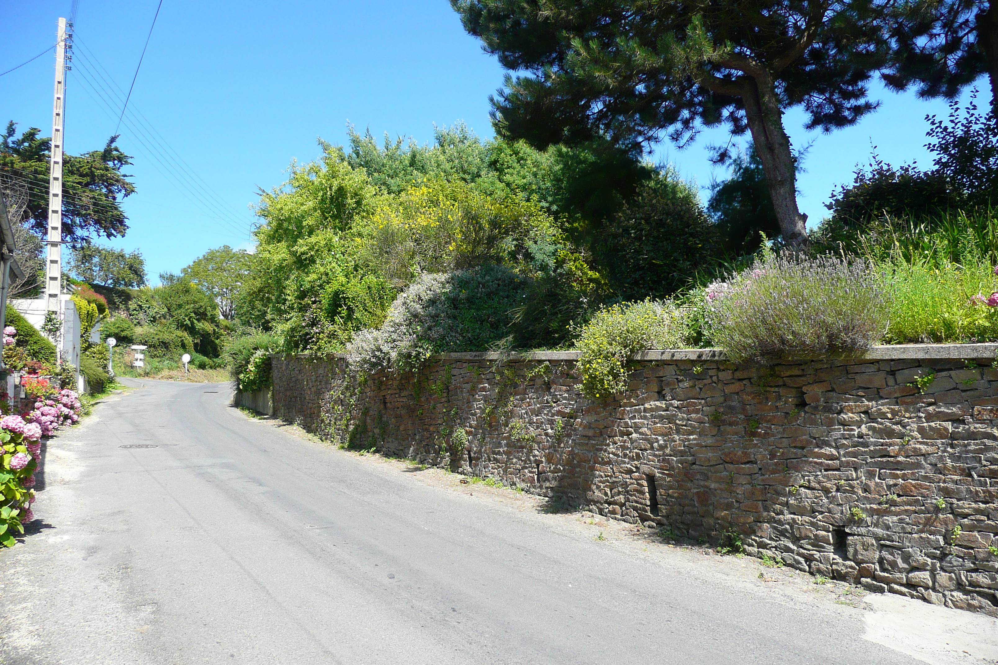 รูปถ่าย ฝรั่งเศส(France) แซ็ง-มีแชล-อ็อง-แกรฟ(St Michel en Greve) 2007-08 68