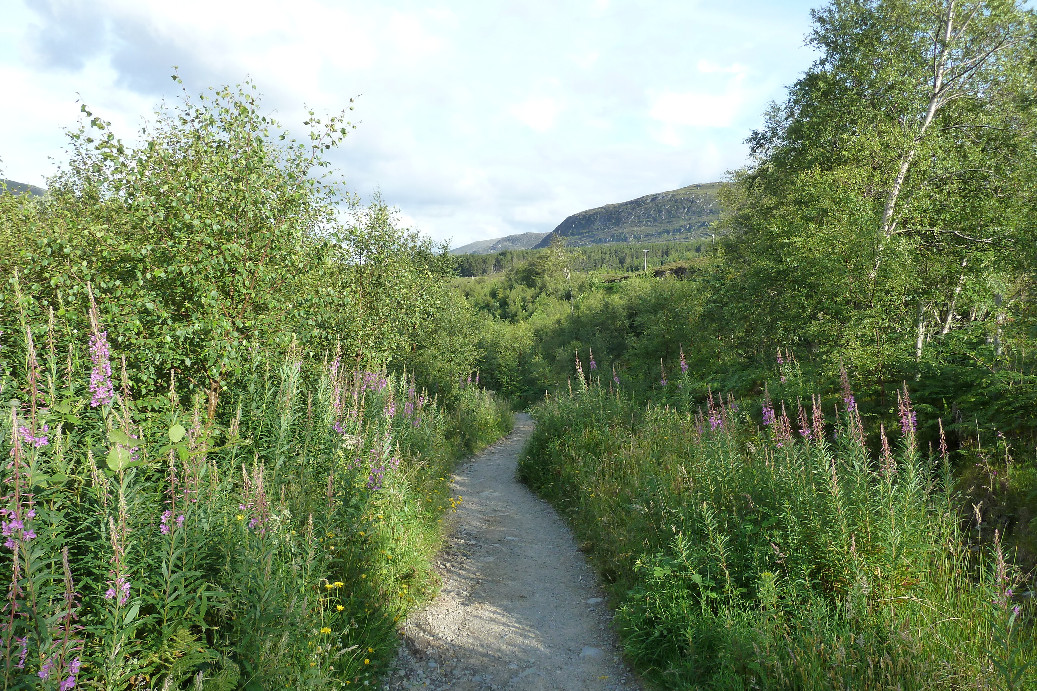 รูปถ่าย อังกฤษ(United Kingdom) เวสเตอร์รอสส์(Wester Ross) 2011-07 31