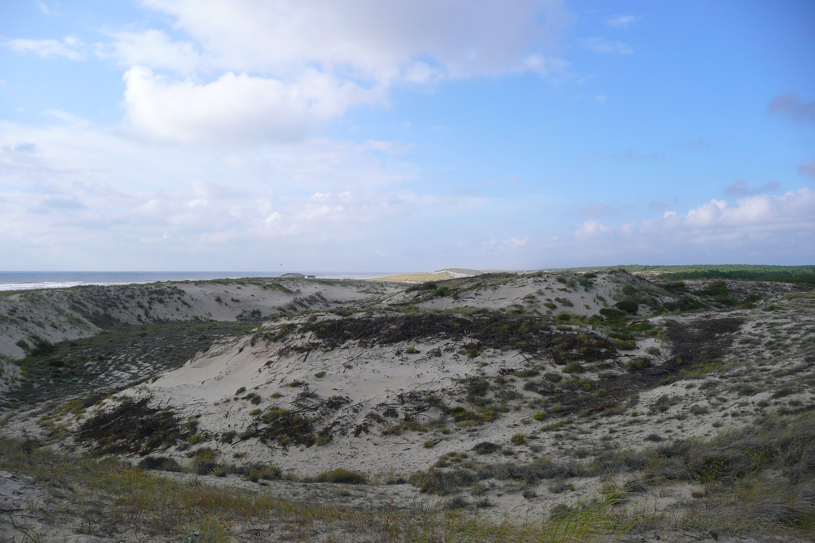 รูปถ่าย ฝรั่งเศส(France) ลากาโน(Lacanau) 2007-08 129
