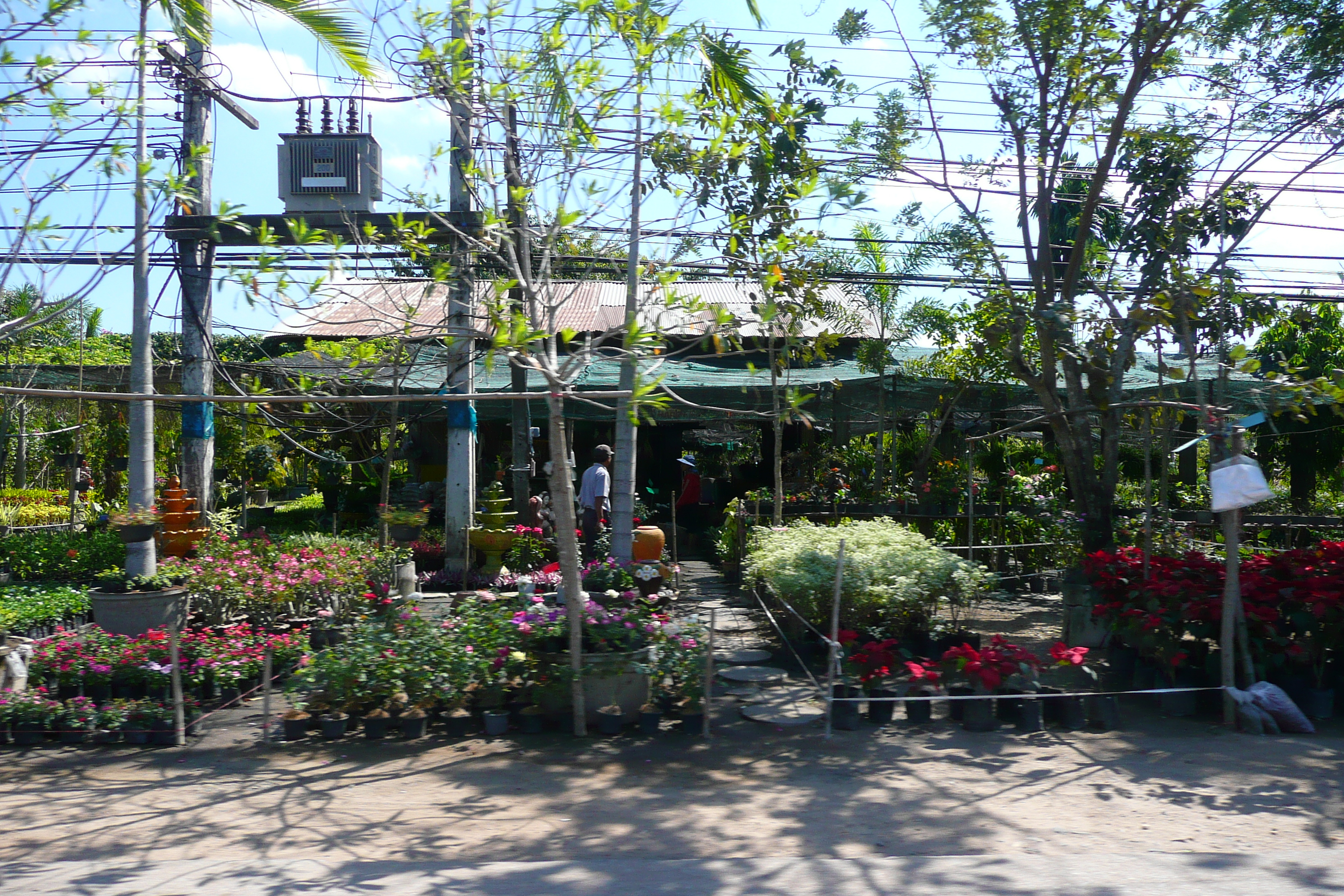 รูปถ่าย ไทย(Thailand) ถนนจากพัทยาไปเกาะเสม็ด(Pattaya to Ko Samet road) 2008-12 70
