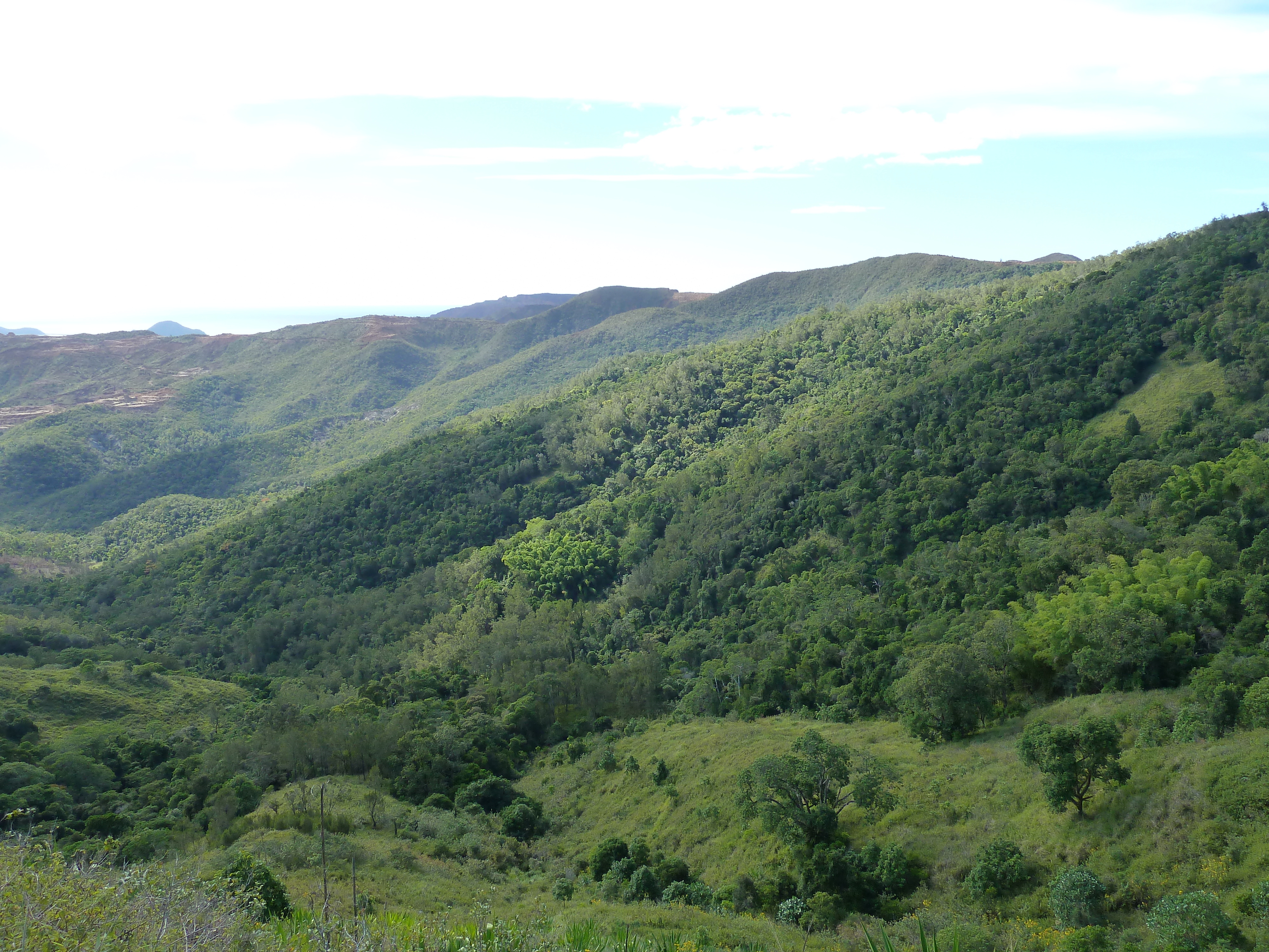 รูปถ่าย นิวแคลิโดเนีย(New Caledonia) ถนนจากทีโอไปกานาลา(Thio to Canala road) 2010-05 61