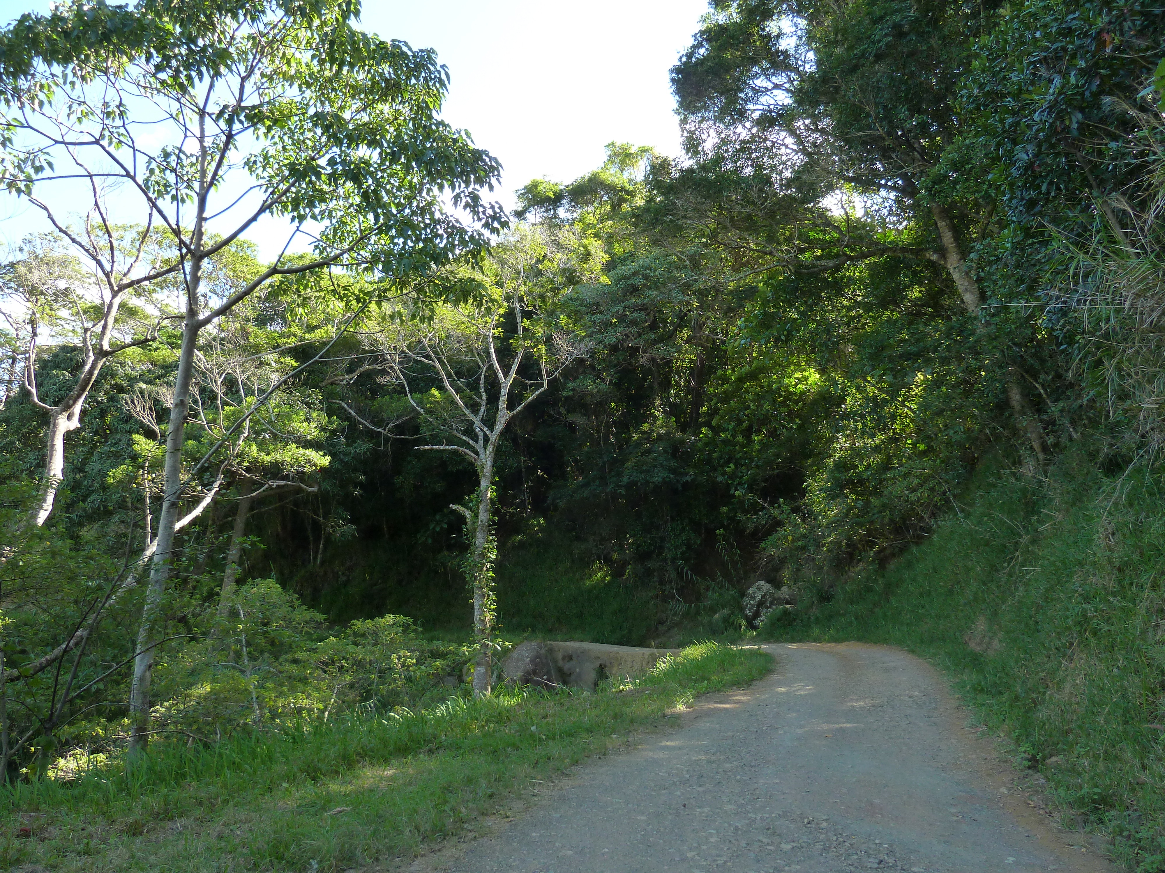 รูปถ่าย นิวแคลิโดเนีย(New Caledonia) ถนนจากทีโอไปกานาลา(Thio to Canala road) 2010-05 74
