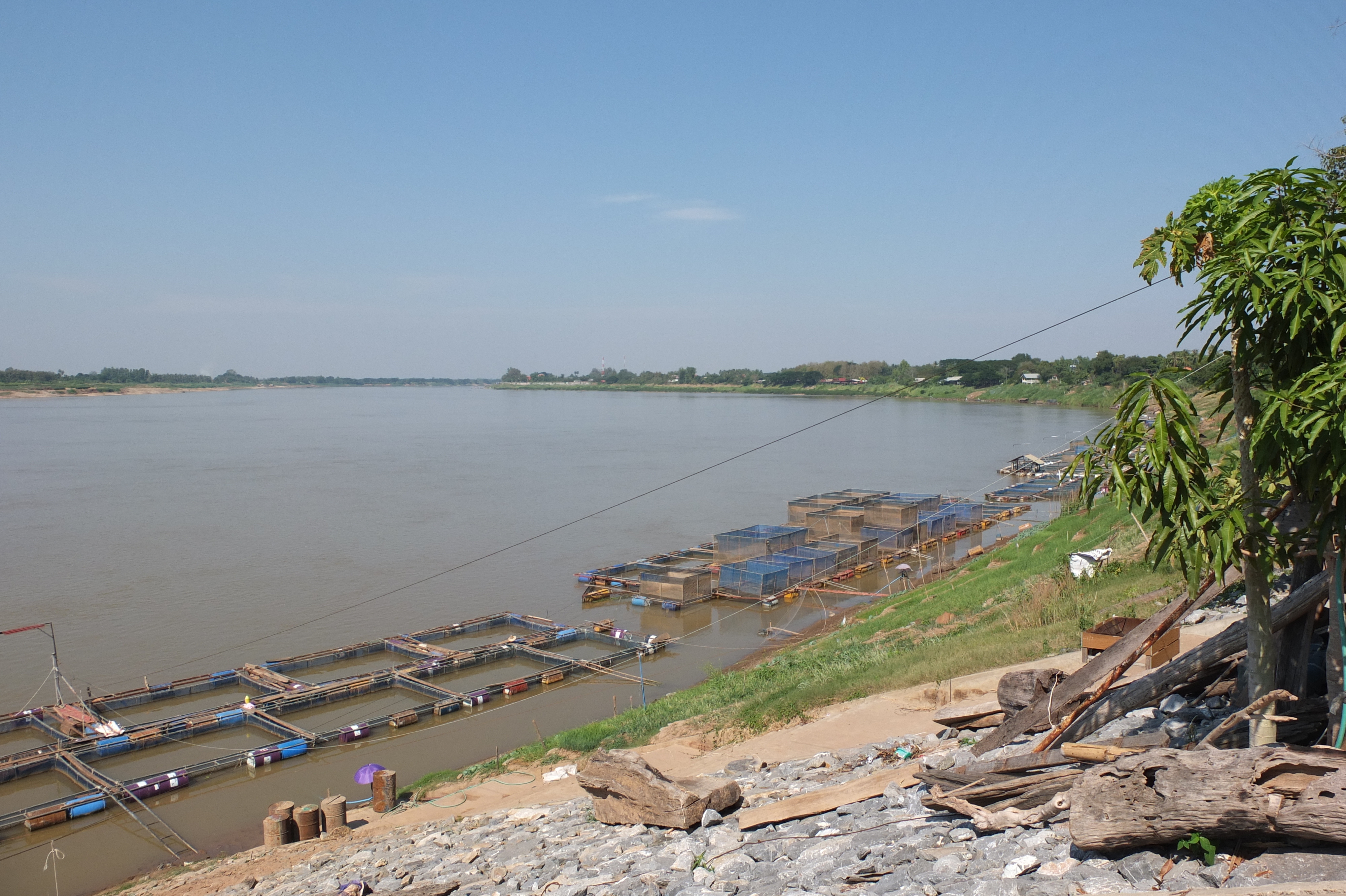 รูปถ่าย ไทย(Thailand) แม่น้ำโขง(Mekong river) 2012-12 72