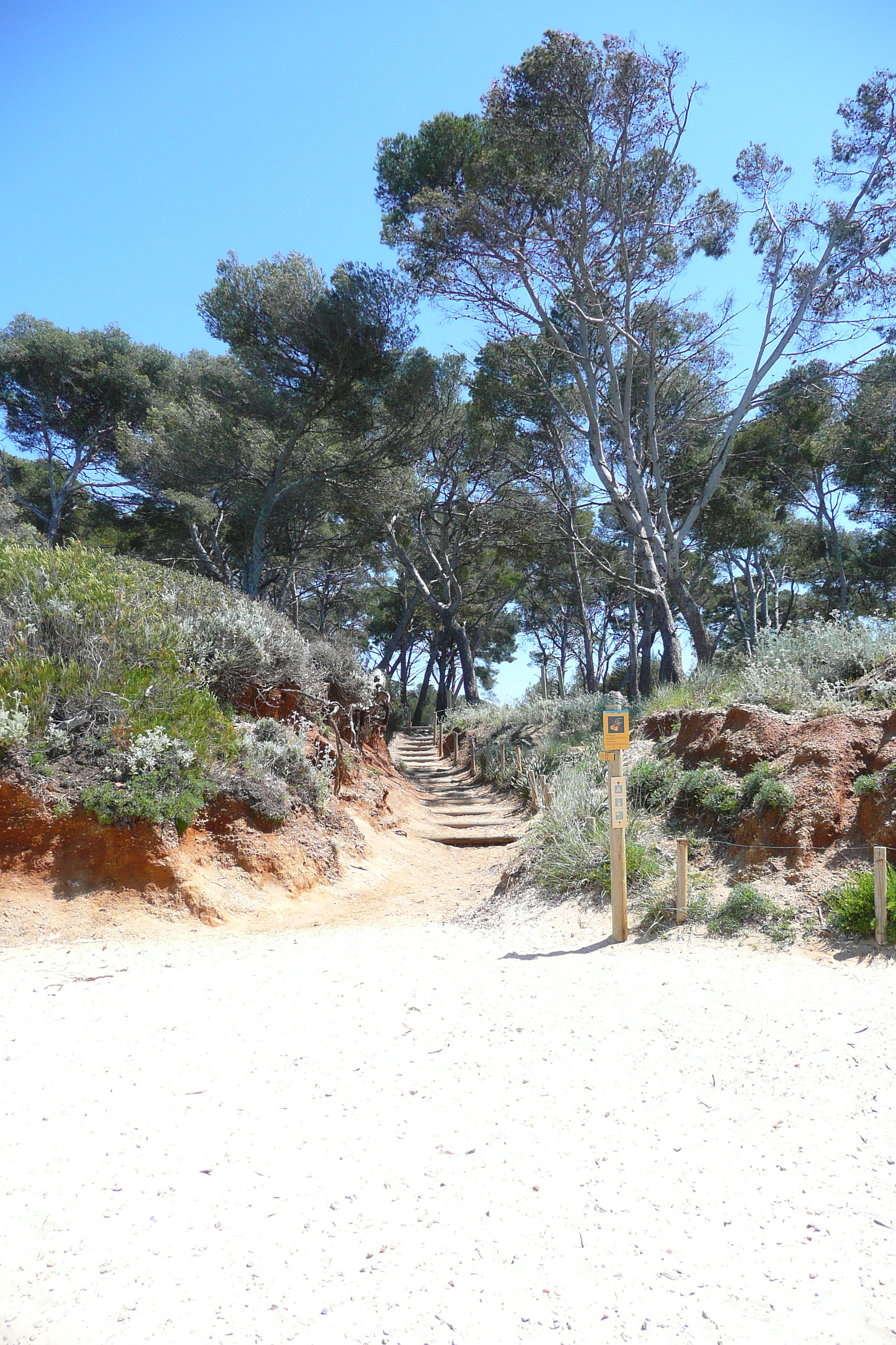 รูปถ่าย ฝรั่งเศส(France) เกาะปอร์เกอรอล(Porquerolles Island) หาดกูร์ตาด(Courtade beach) 2008-05 54