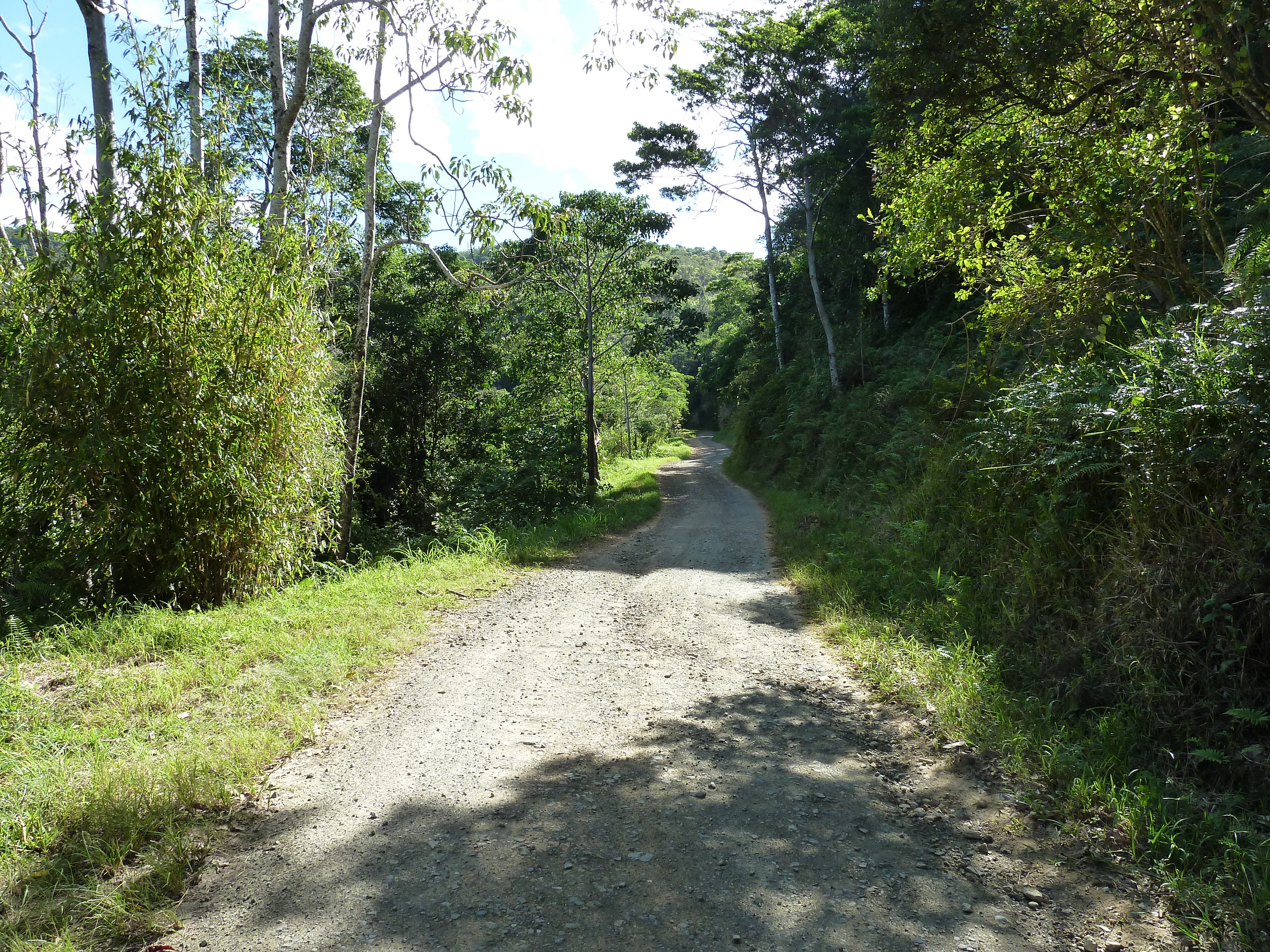 รูปถ่าย นิวแคลิโดเนีย(New Caledonia) ถนนจากทีโอไปกานาลา(Thio to Canala road) 2010-05 77