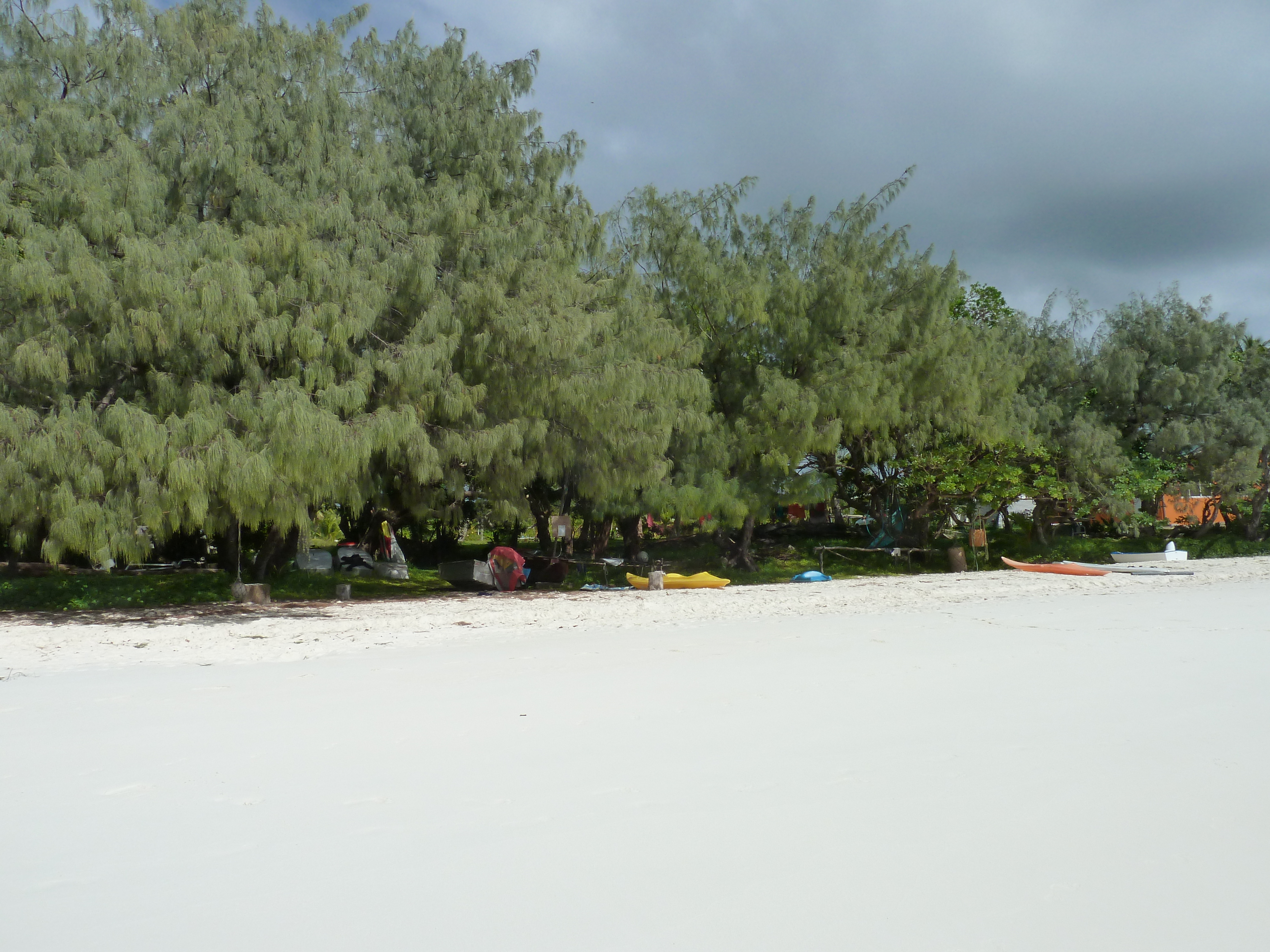 รูปถ่าย นิวแคลิโดเนีย(New Caledonia) เกาะลีฟู(Lifou) หาดลูเอ็งโกนี(Luengoni Beach) 2010-05 44
