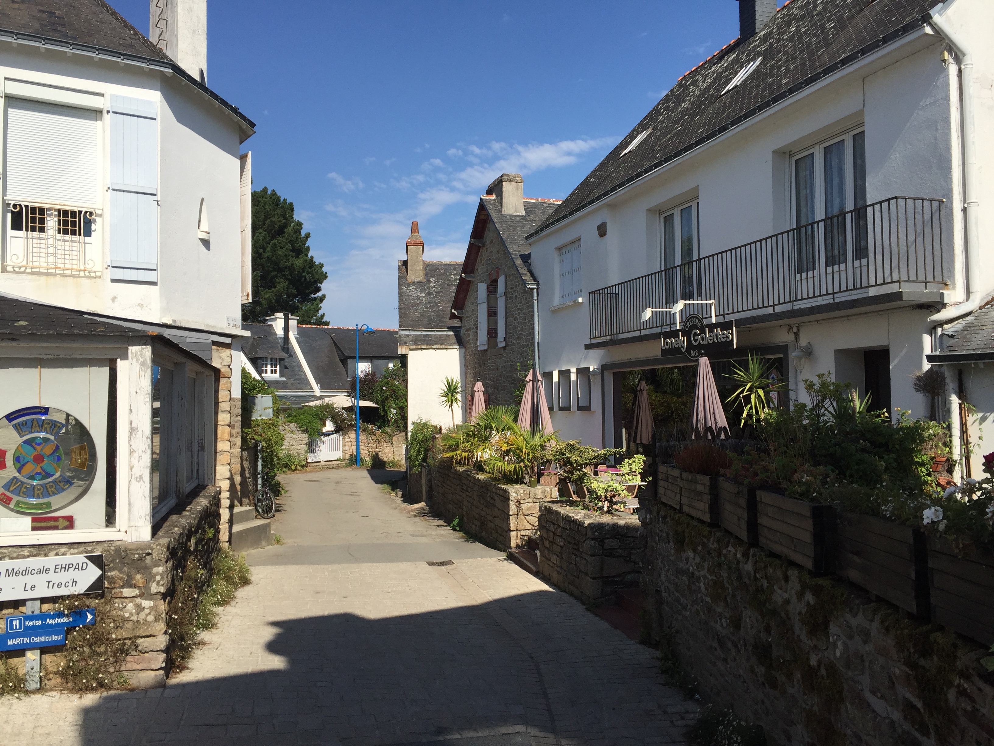 รูปถ่าย ฝรั่งเศส(France) เกาะโอมวน(Ile-aux-Moines) 2016-08 10