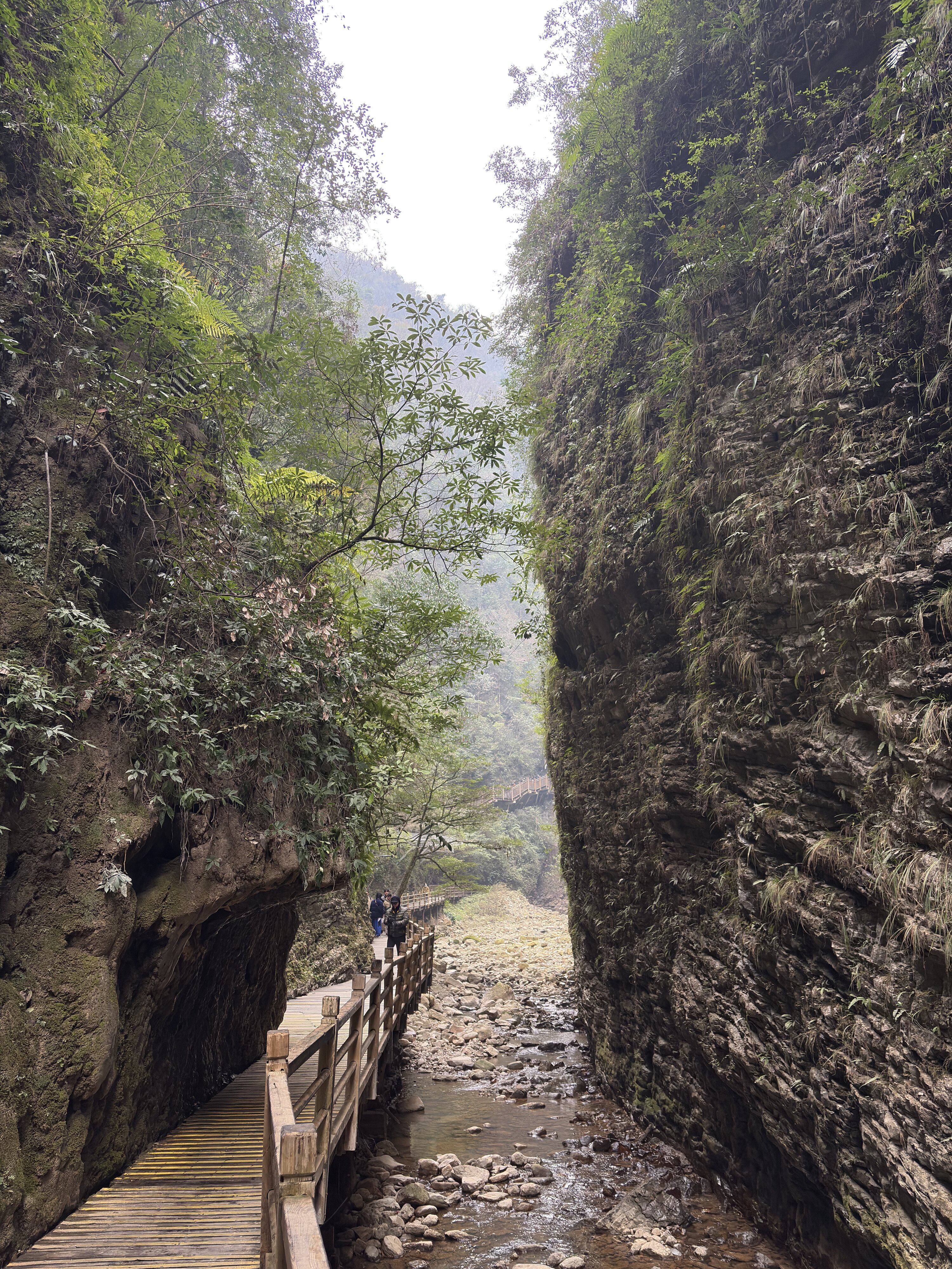 รูปถ่าย จีน(China) จางเจียเจี้ย(Zhangjiajie) แกรนด์แคนยอน(Grand Canyon) 2026-01 38