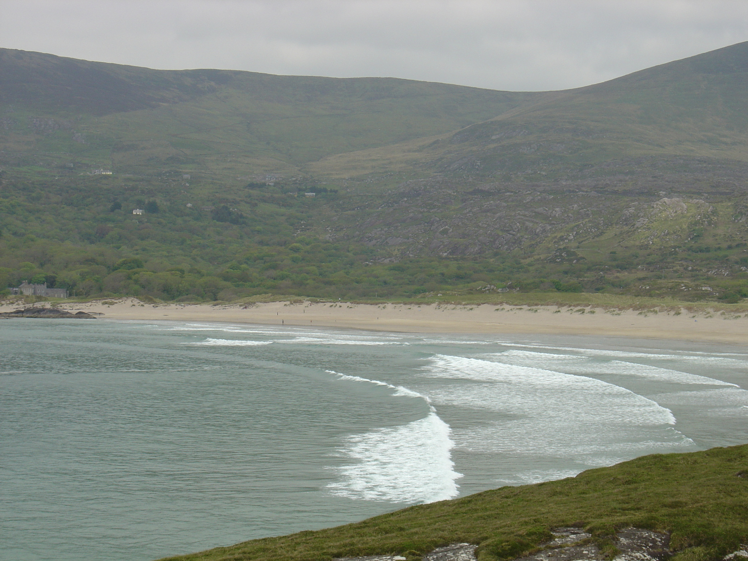 รูปถ่าย ไอร์แลนด์(Ireland) เคอร์รี่(Kerry) ปาร์คนาสิลล่า(Parknasilla) 2004-05 40